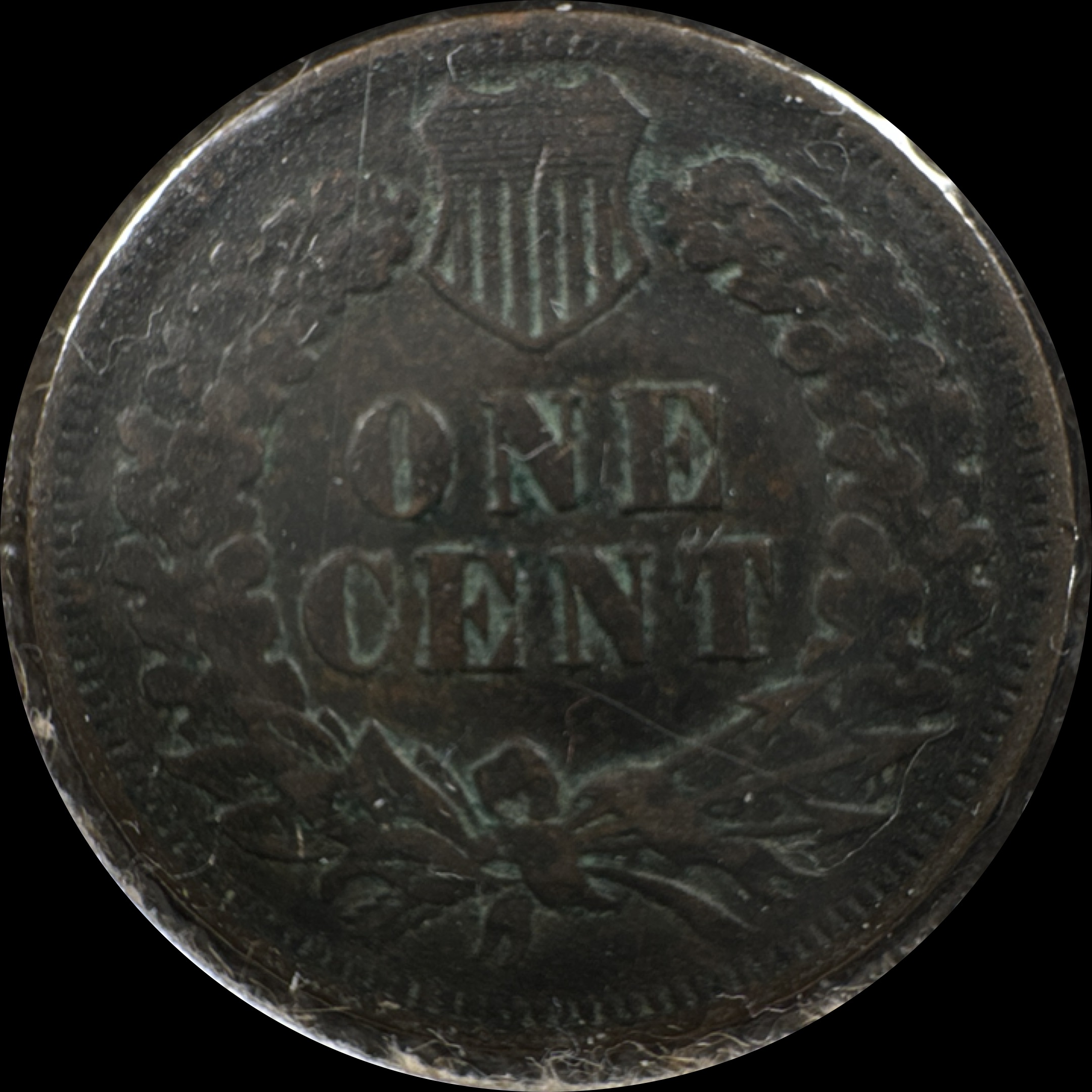 1902-P Indian Head Cent Ungraded — back