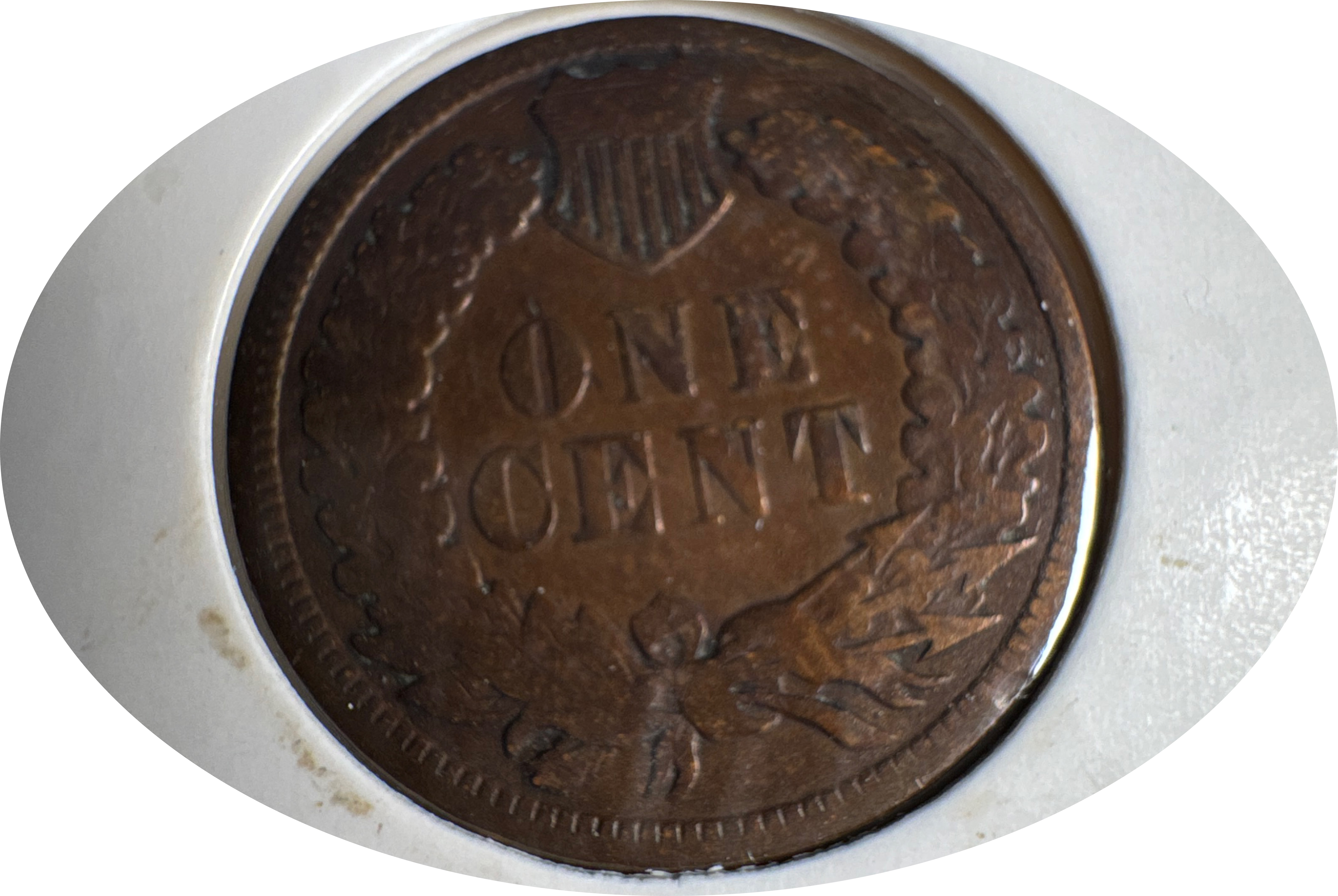 1886-P Indian Head Cent Ungraded — back