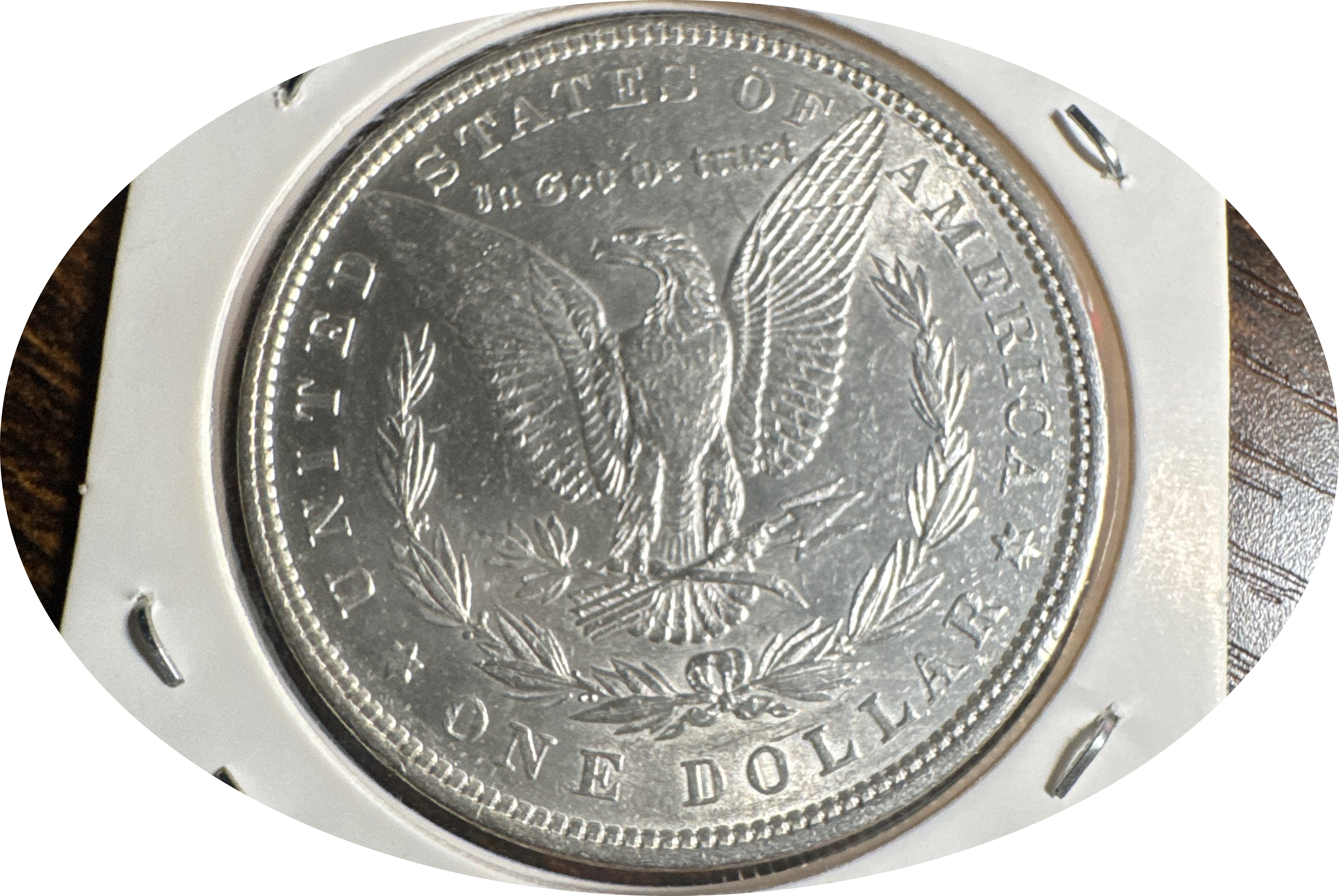 1879-P Morgan Dollar Ungraded — back