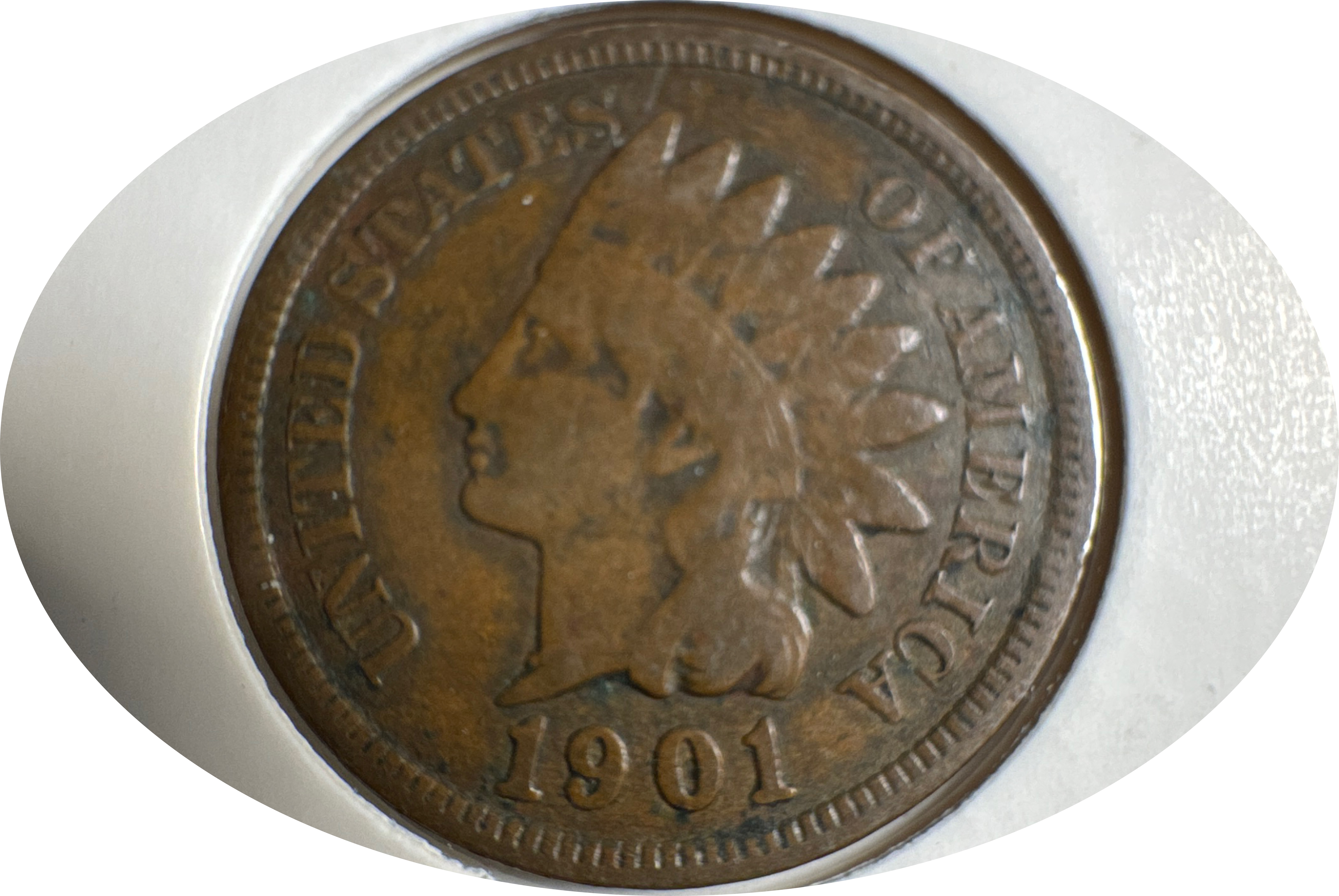 1901-P Indian Head Cent Ungraded