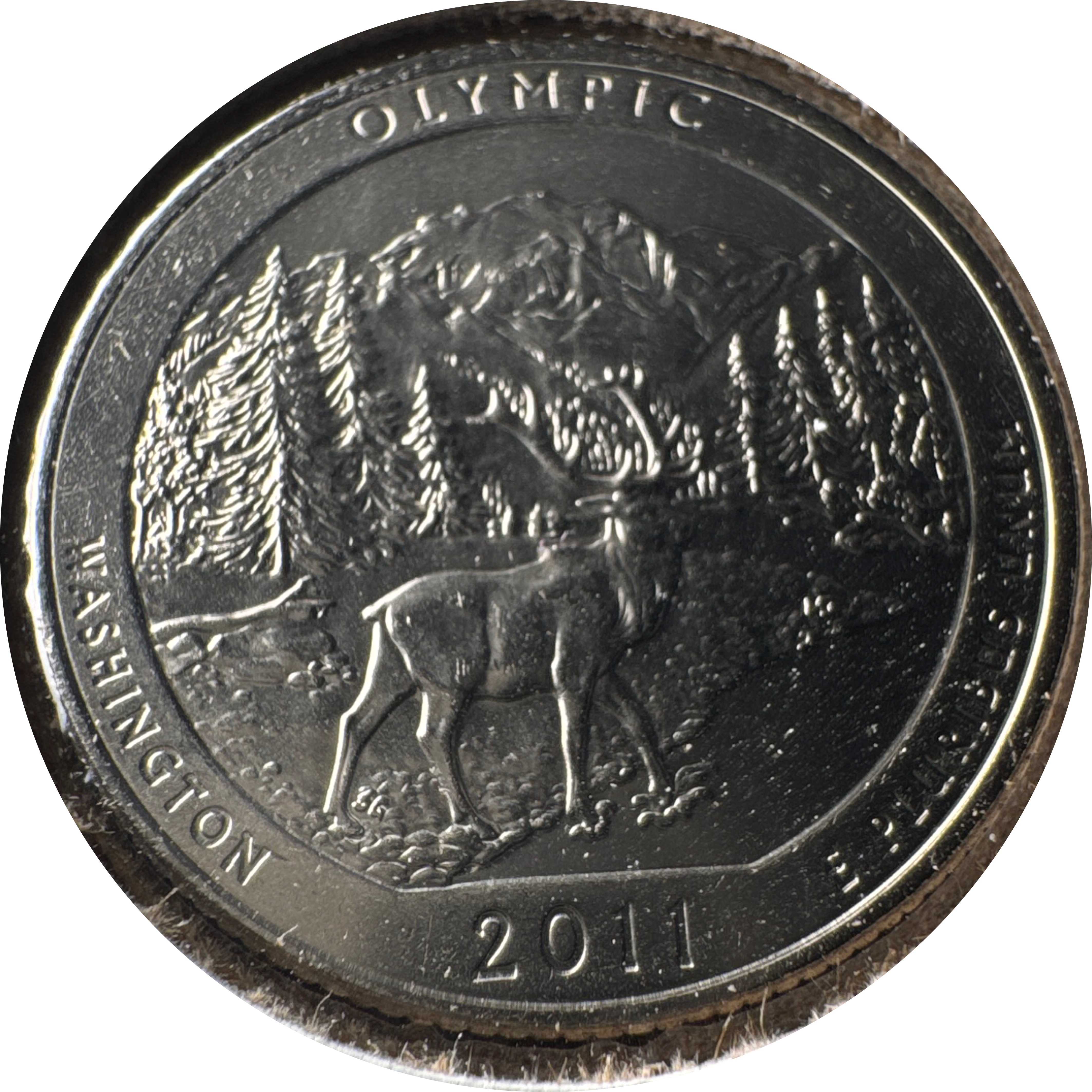 2011-D Washington Quarter Ungraded — back