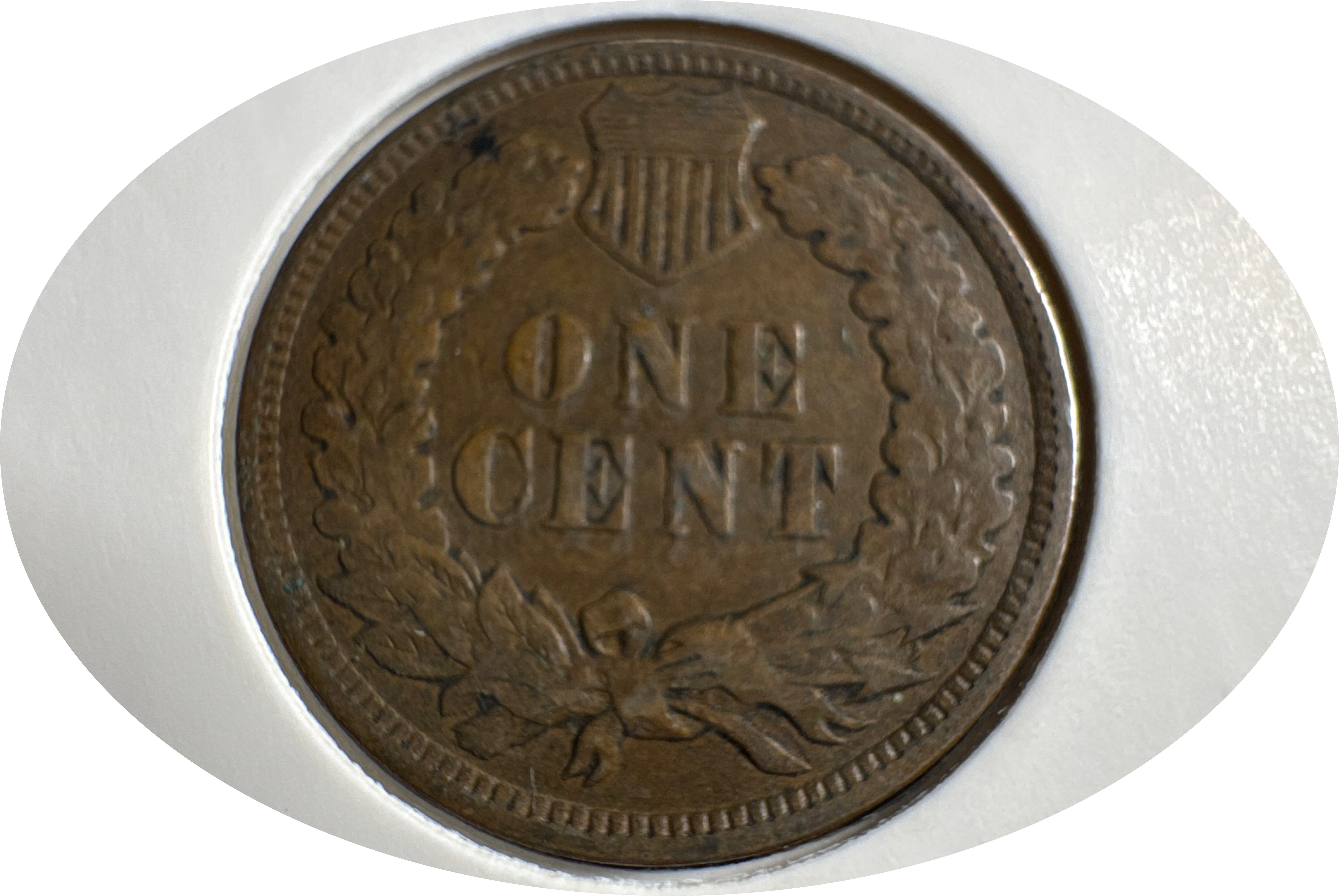 1906-P Indian Head Cent Ungraded — back