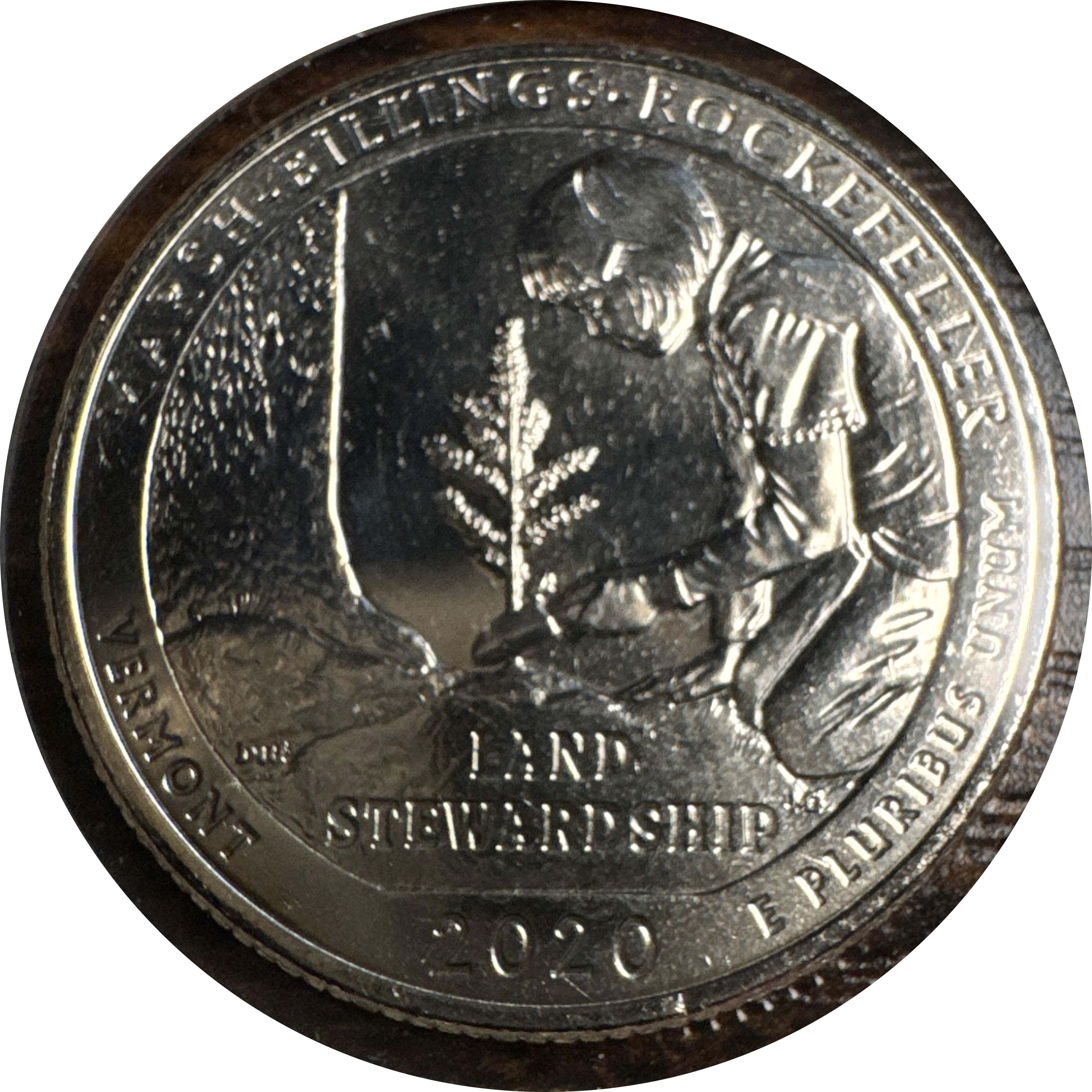 2020-D Washington Quarter Ungraded — back