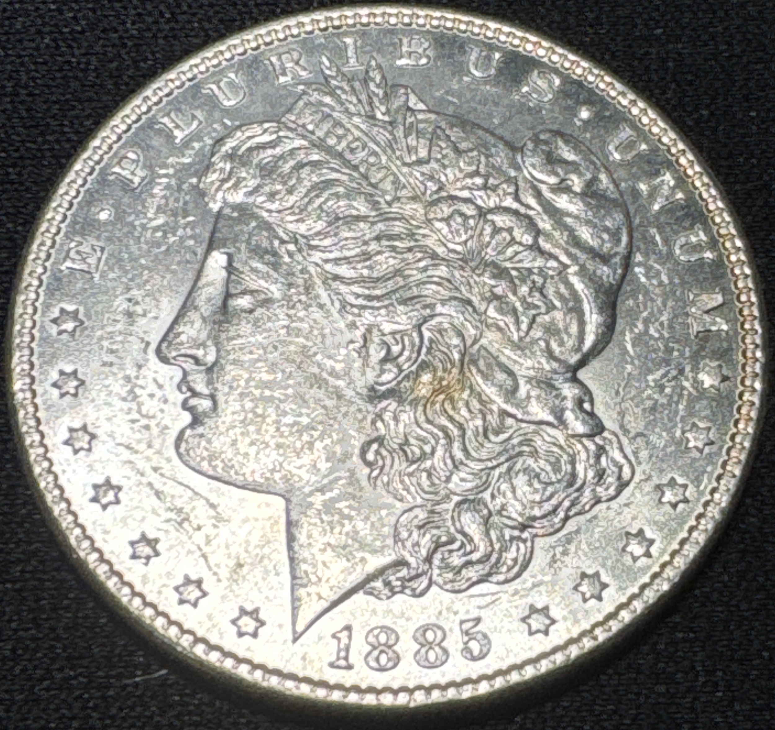 1885-P Morgan Dollar Ungraded