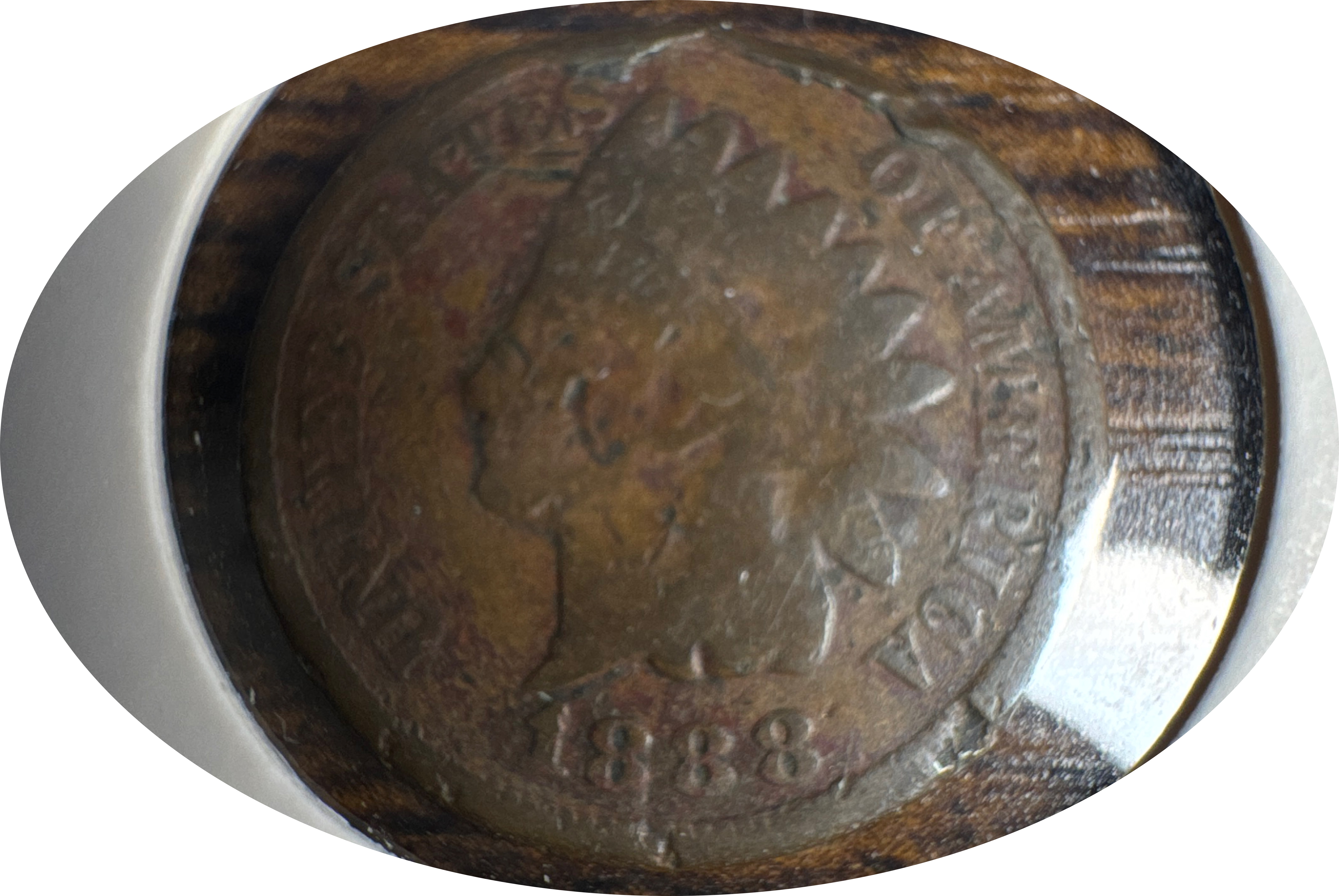 1888-P Indian Head Cent Ungraded