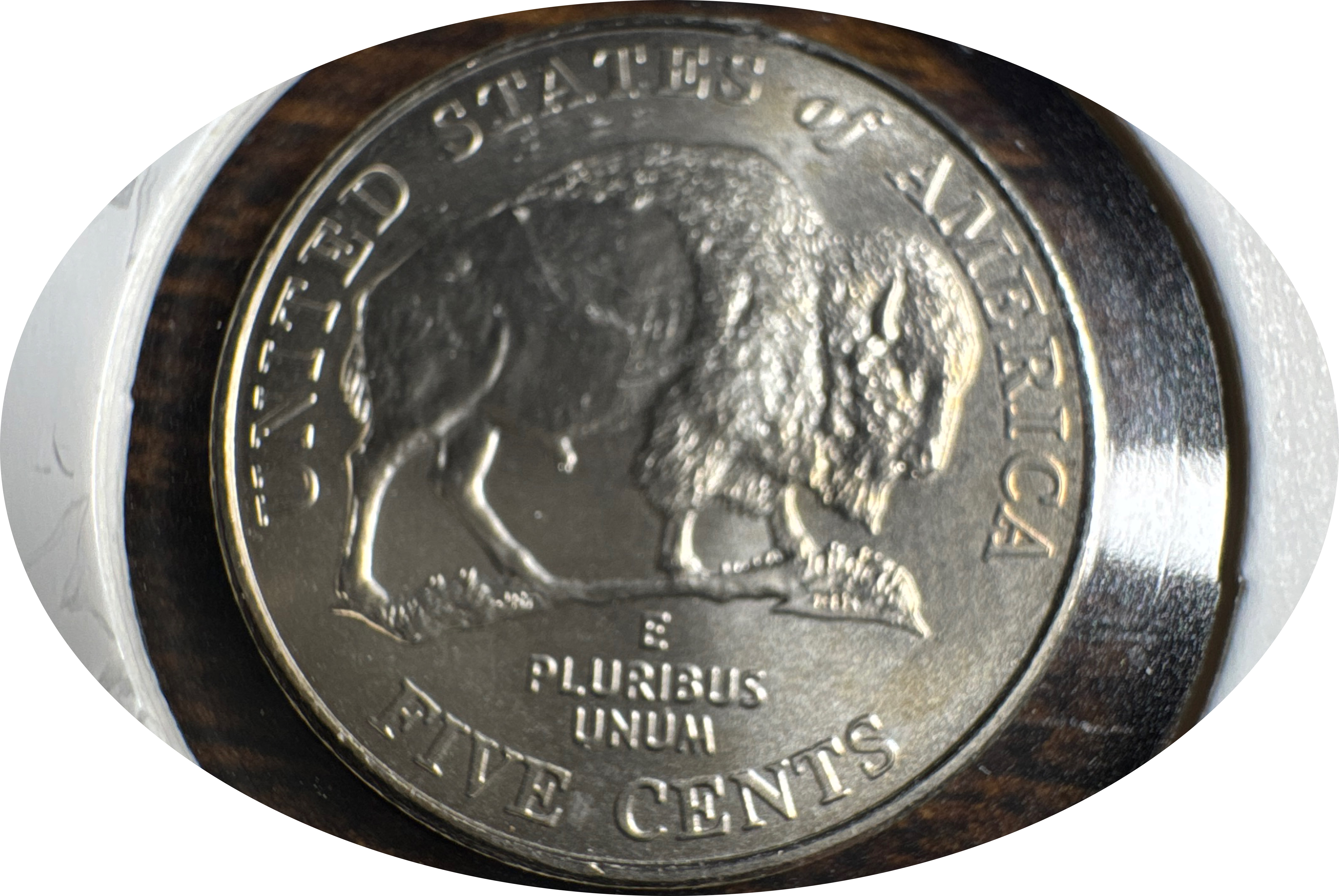 2005-P Jefferson Nickel Ungraded — back