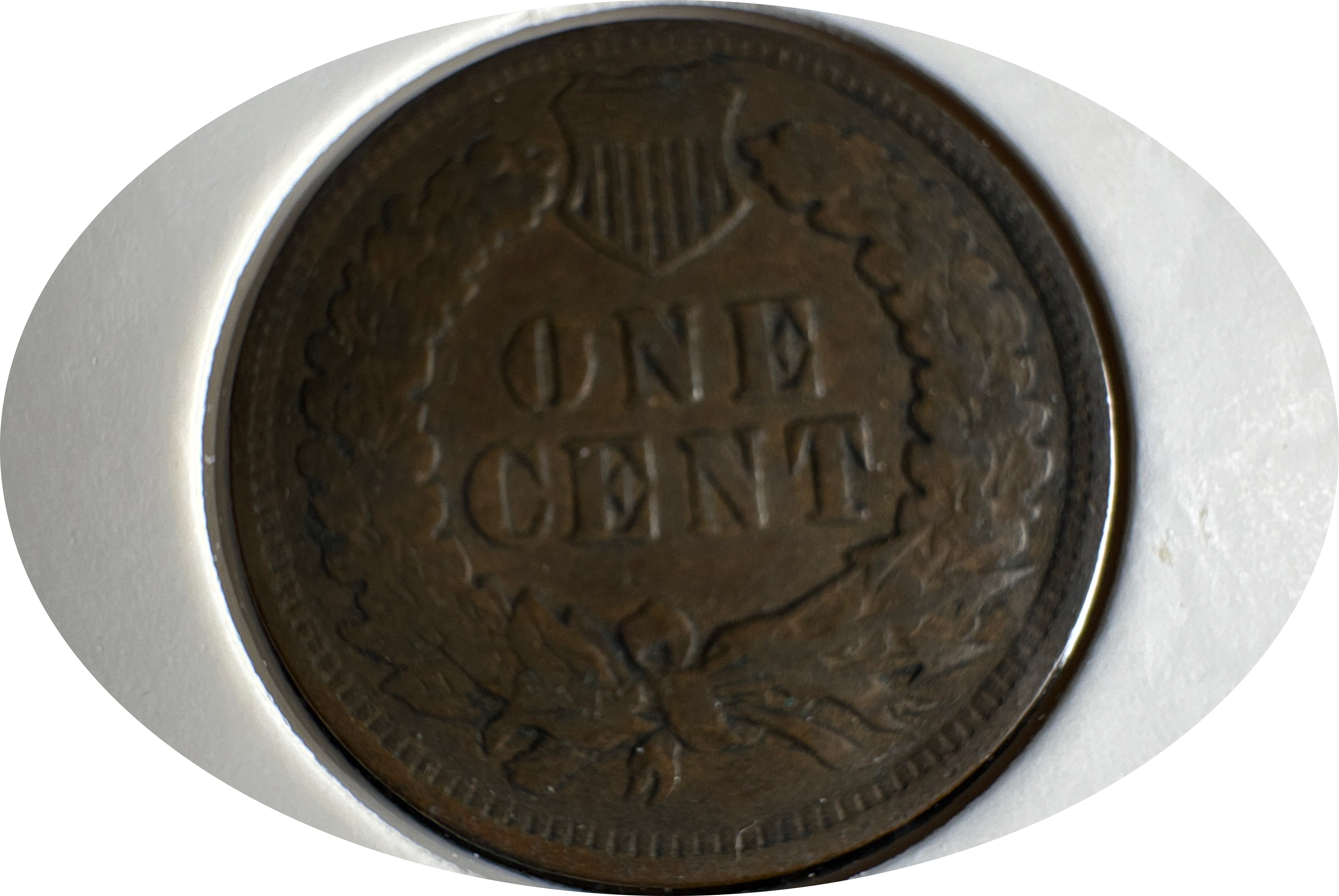 1901-P Indian Head Cent Ungraded — back