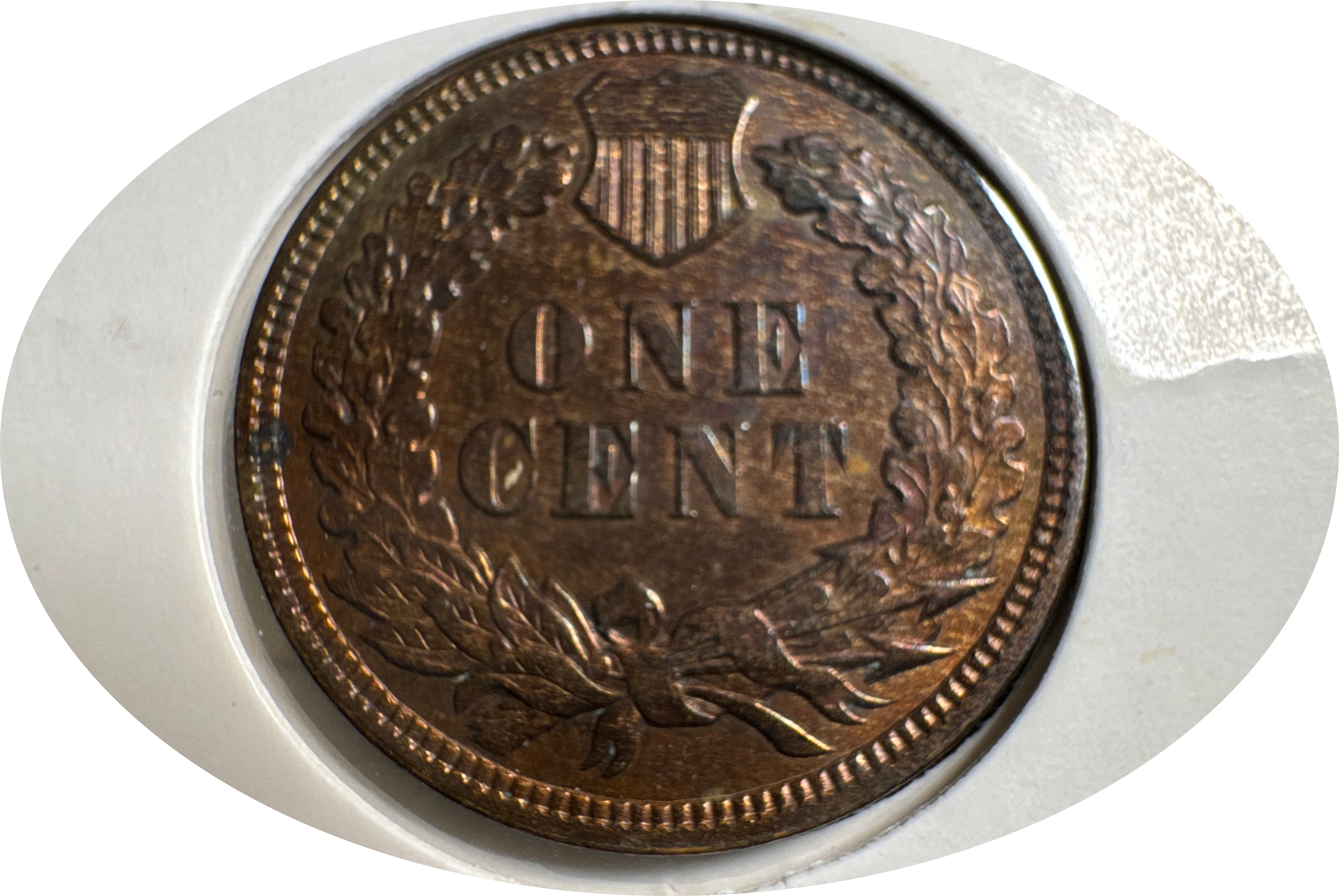 1905-P Indian Head Cent Ungraded — back