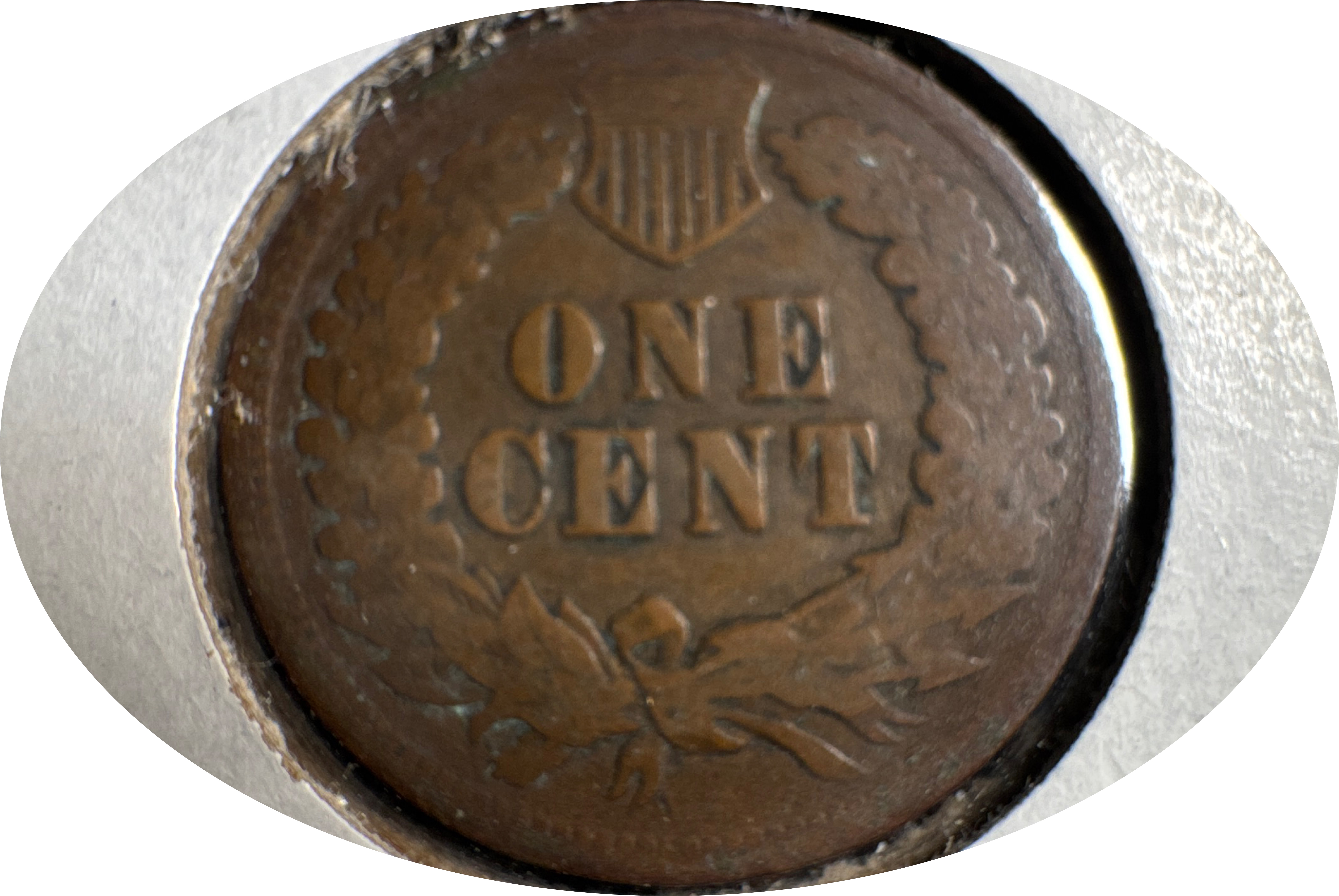 1905-P Indian Head Cent Ungraded — back