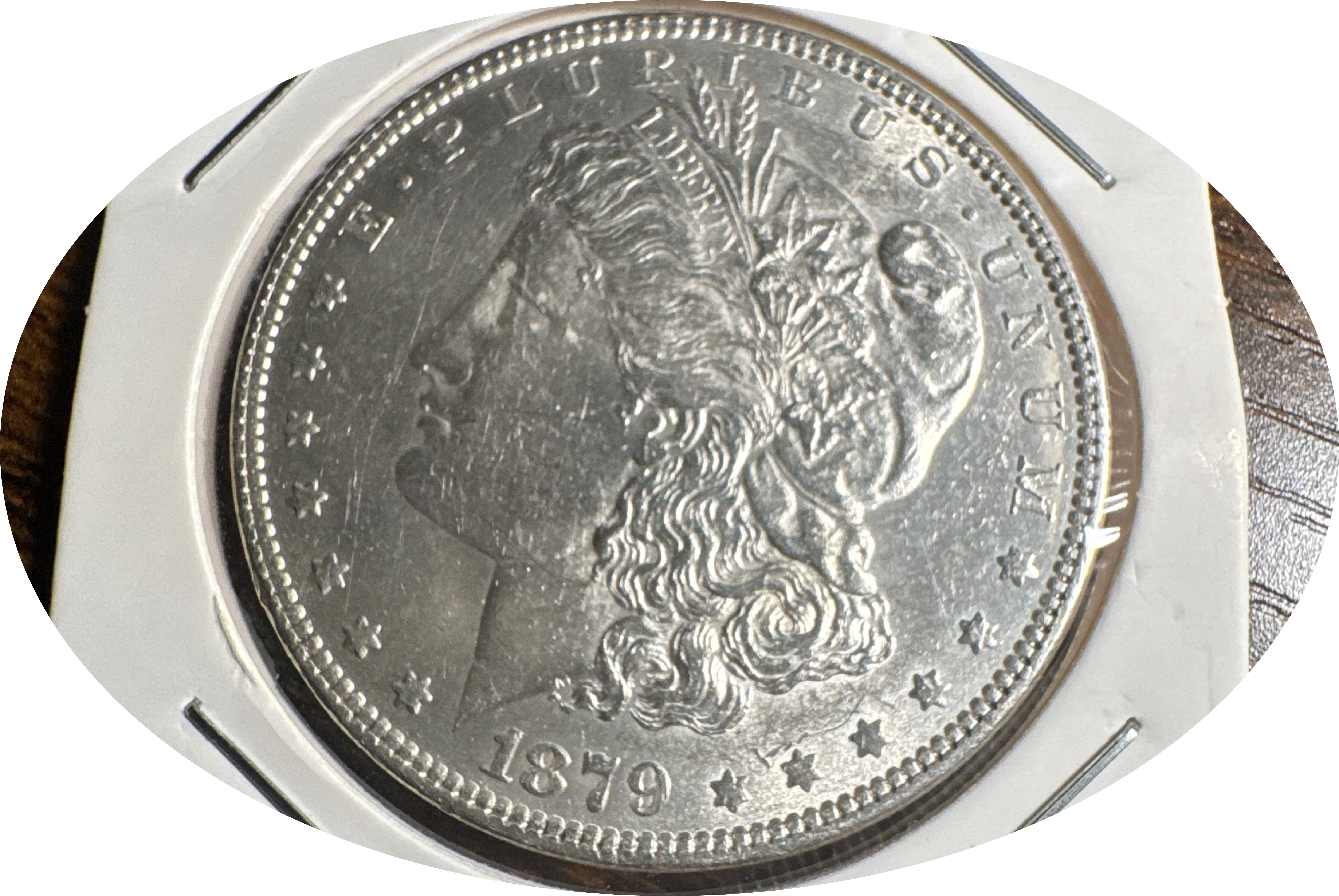 1879-P Morgan Dollar Ungraded