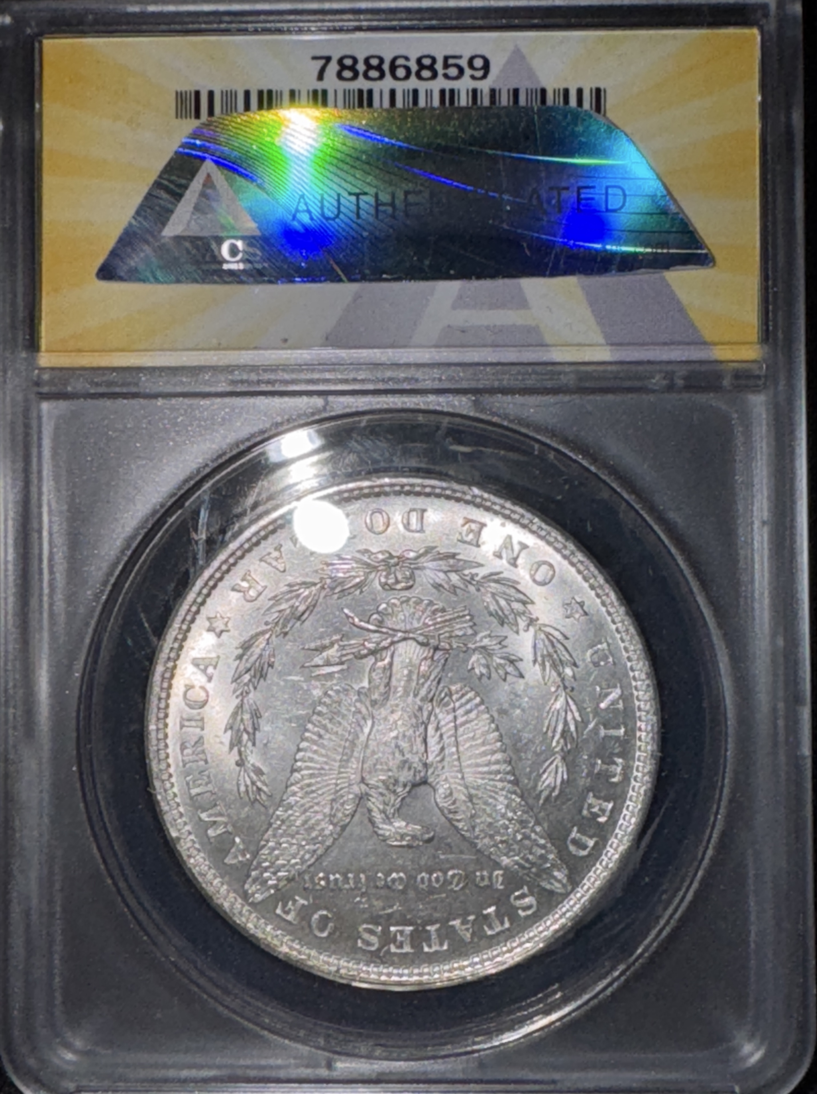 1879-P Morgan Dollar MS60 — back