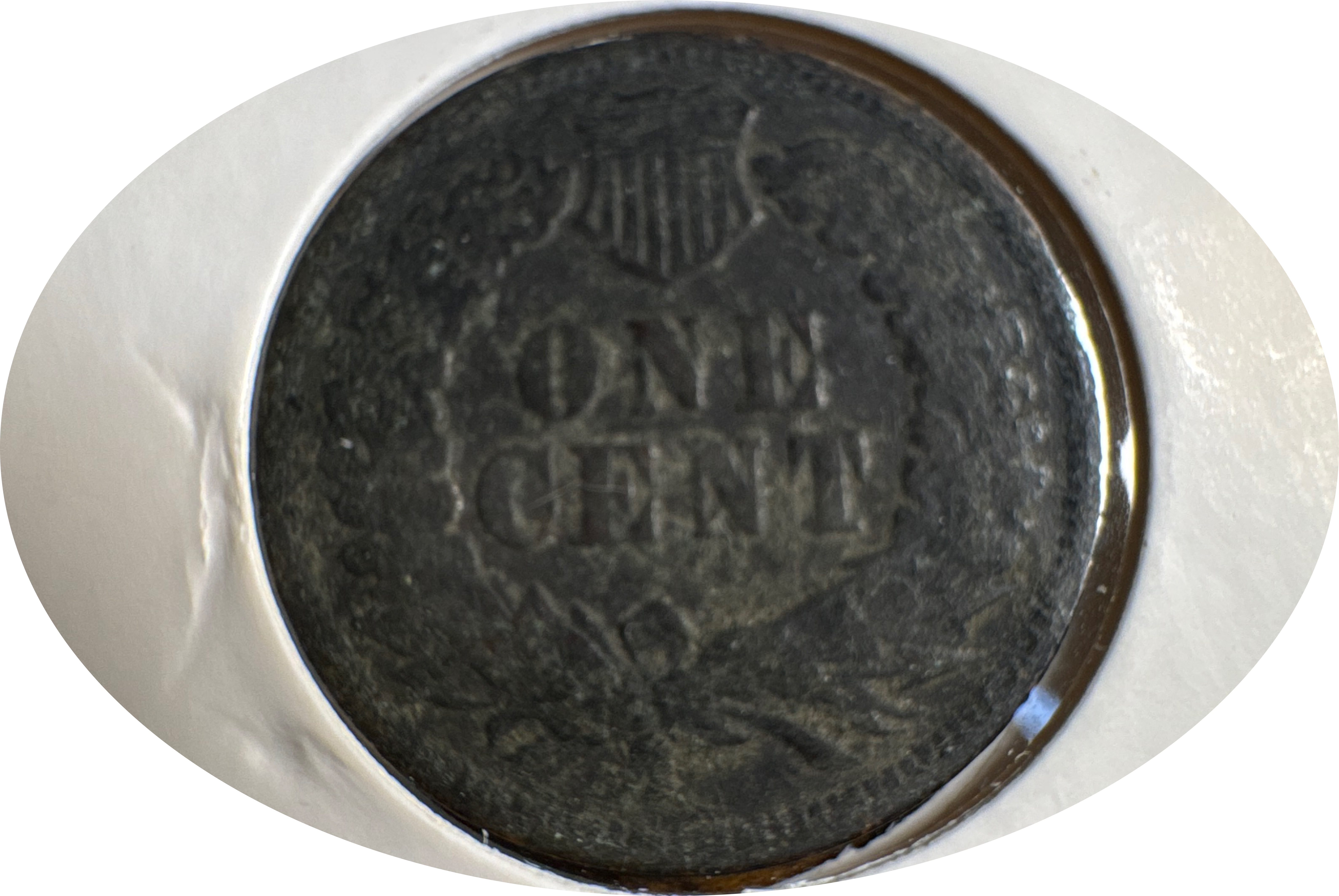 1905-P Indian Head Cent Ungraded — back