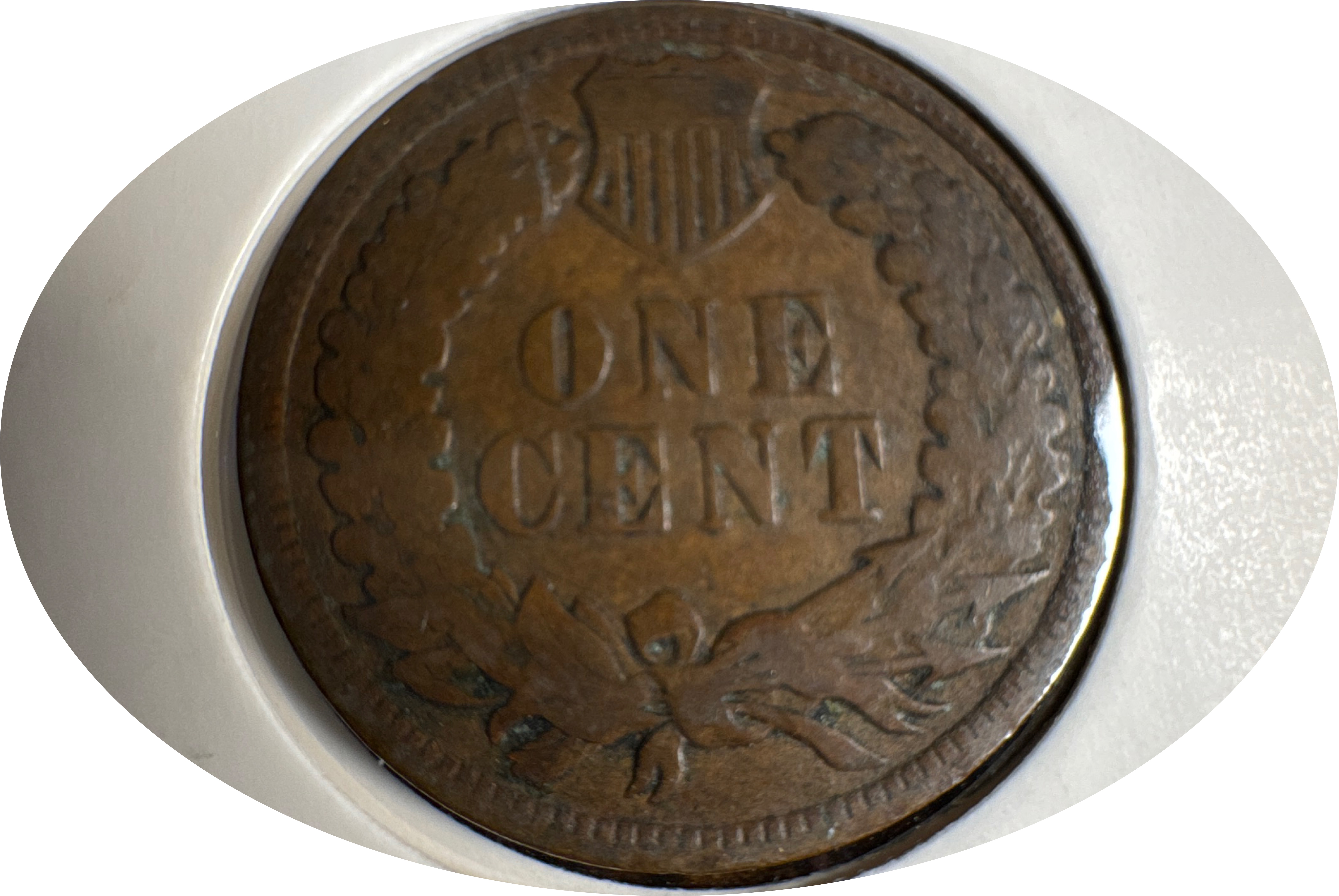 1900-P Indian Head Cent Ungraded — back
