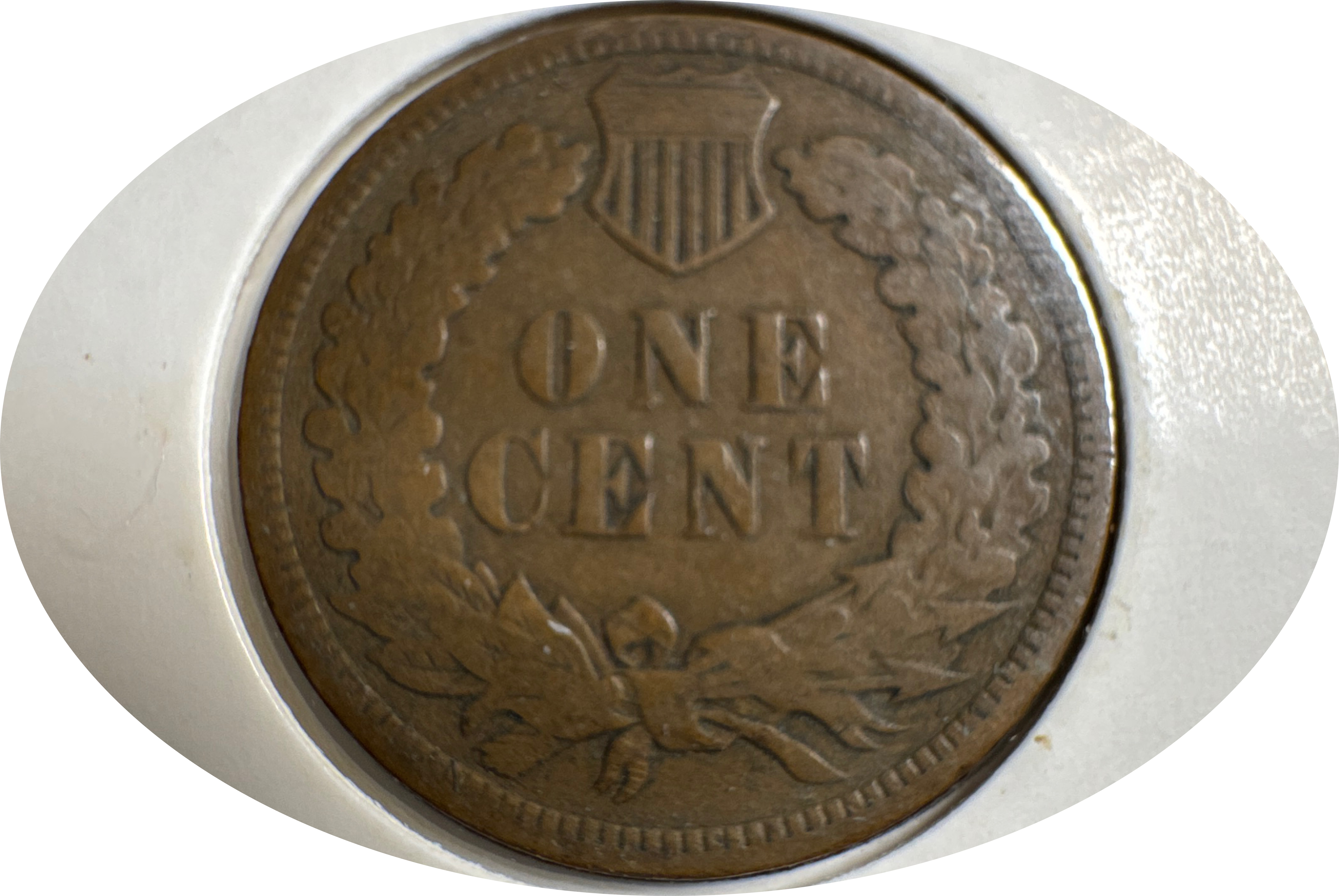 1906-P Indian Head Cent Ungraded — back