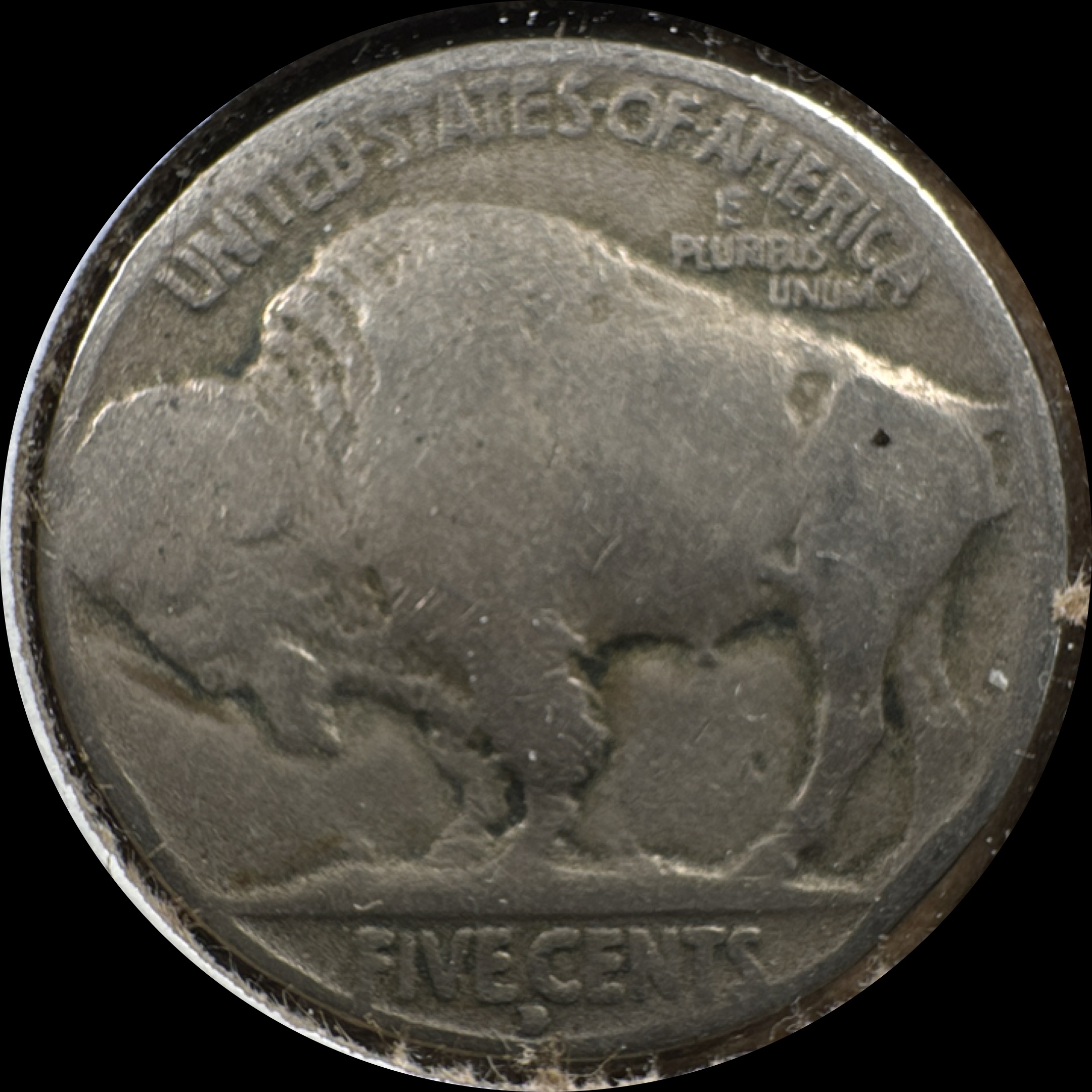 1929-D Buffalo Nickel Ungraded — back