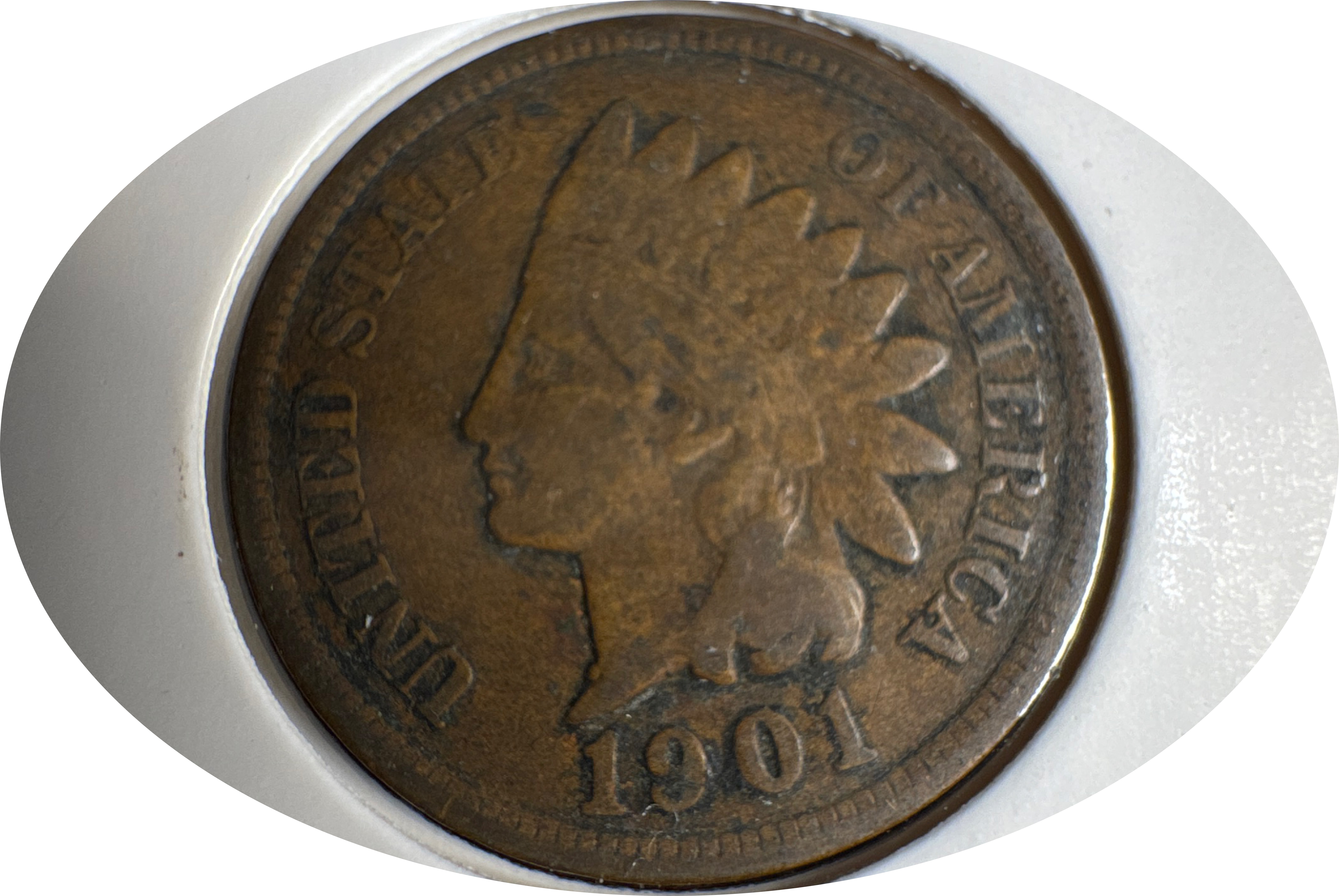 1901-P Indian Head Cent Ungraded