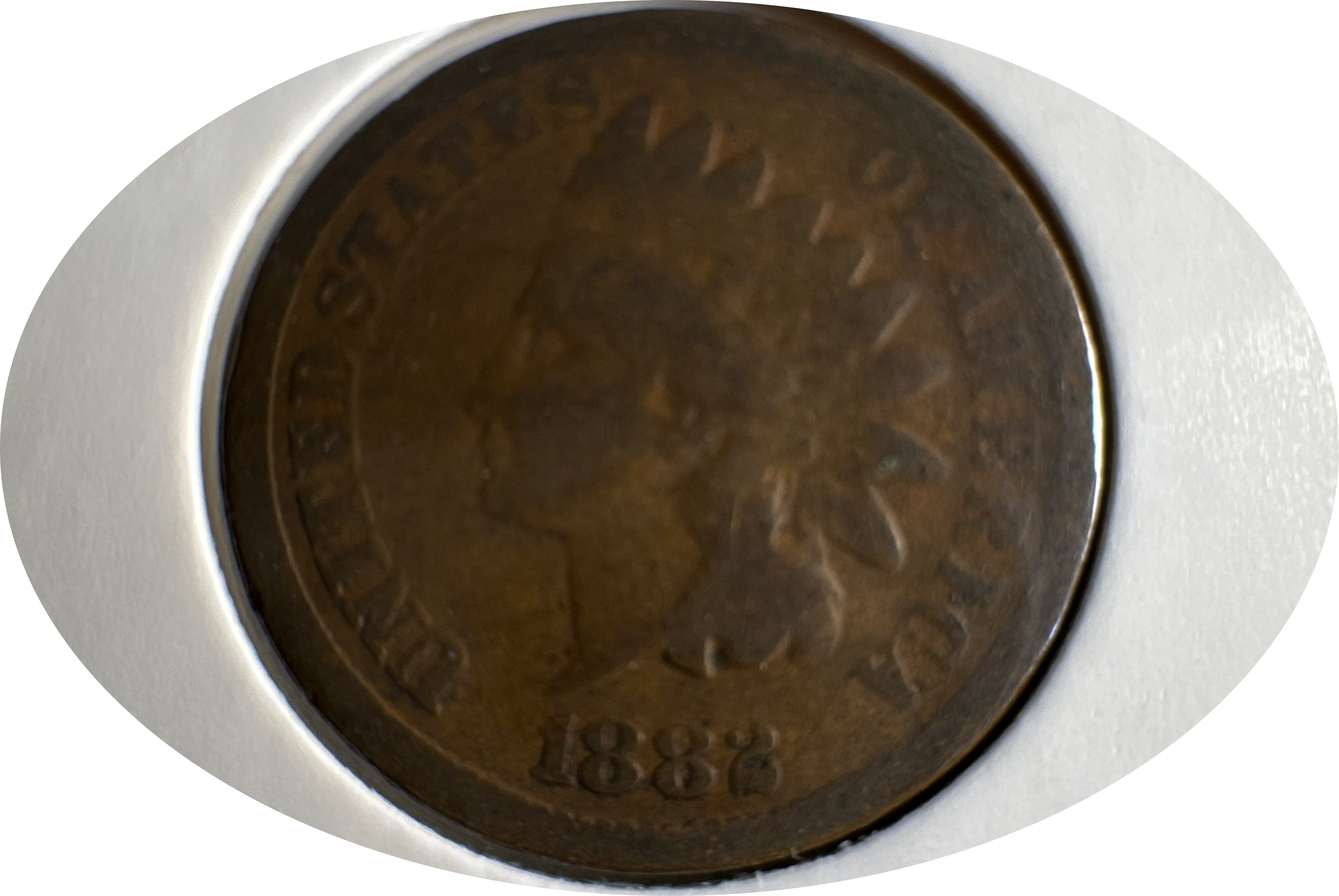 1882-P Indian Head Cent Ungraded