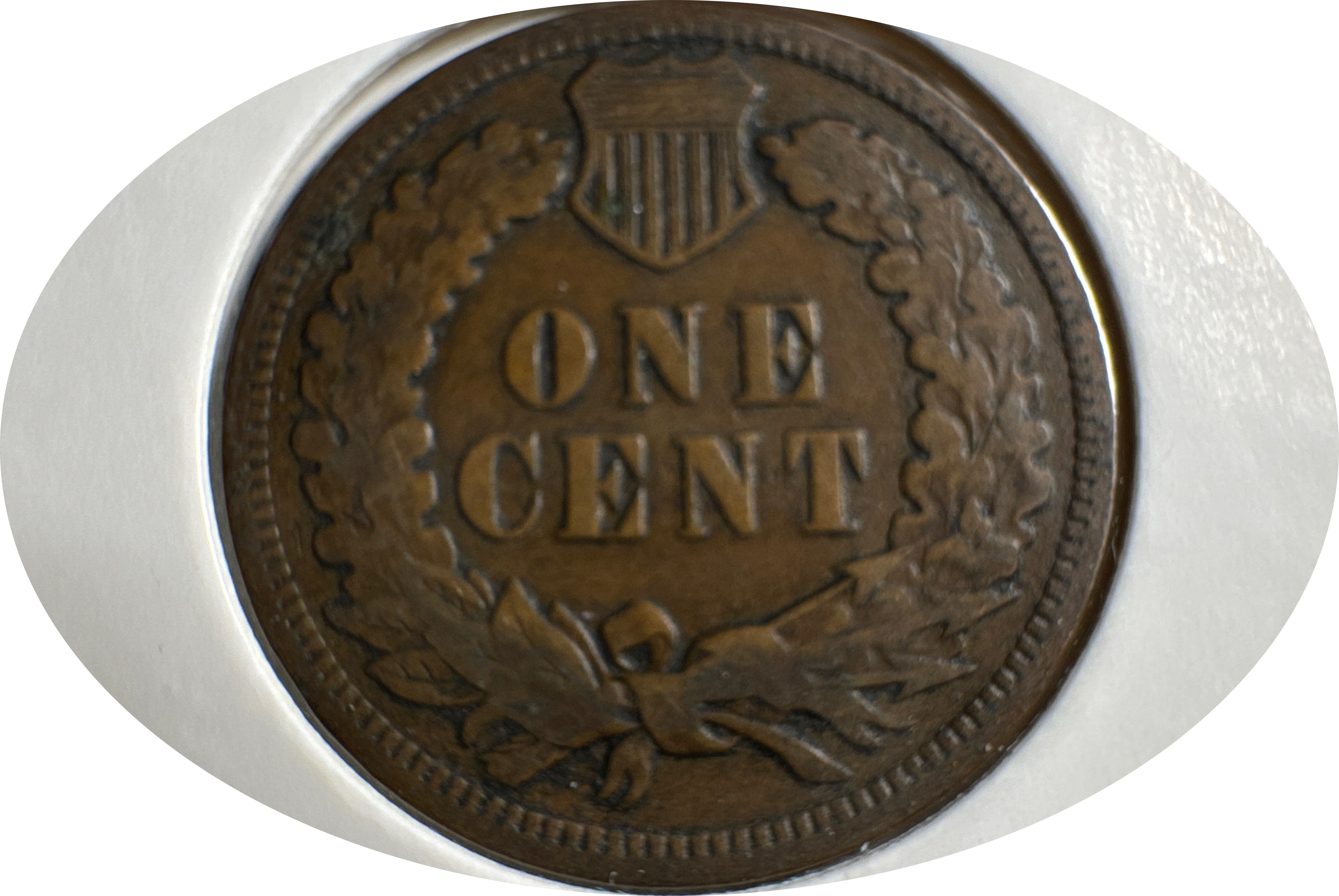1906-P Indian Head Cent Ungraded — back