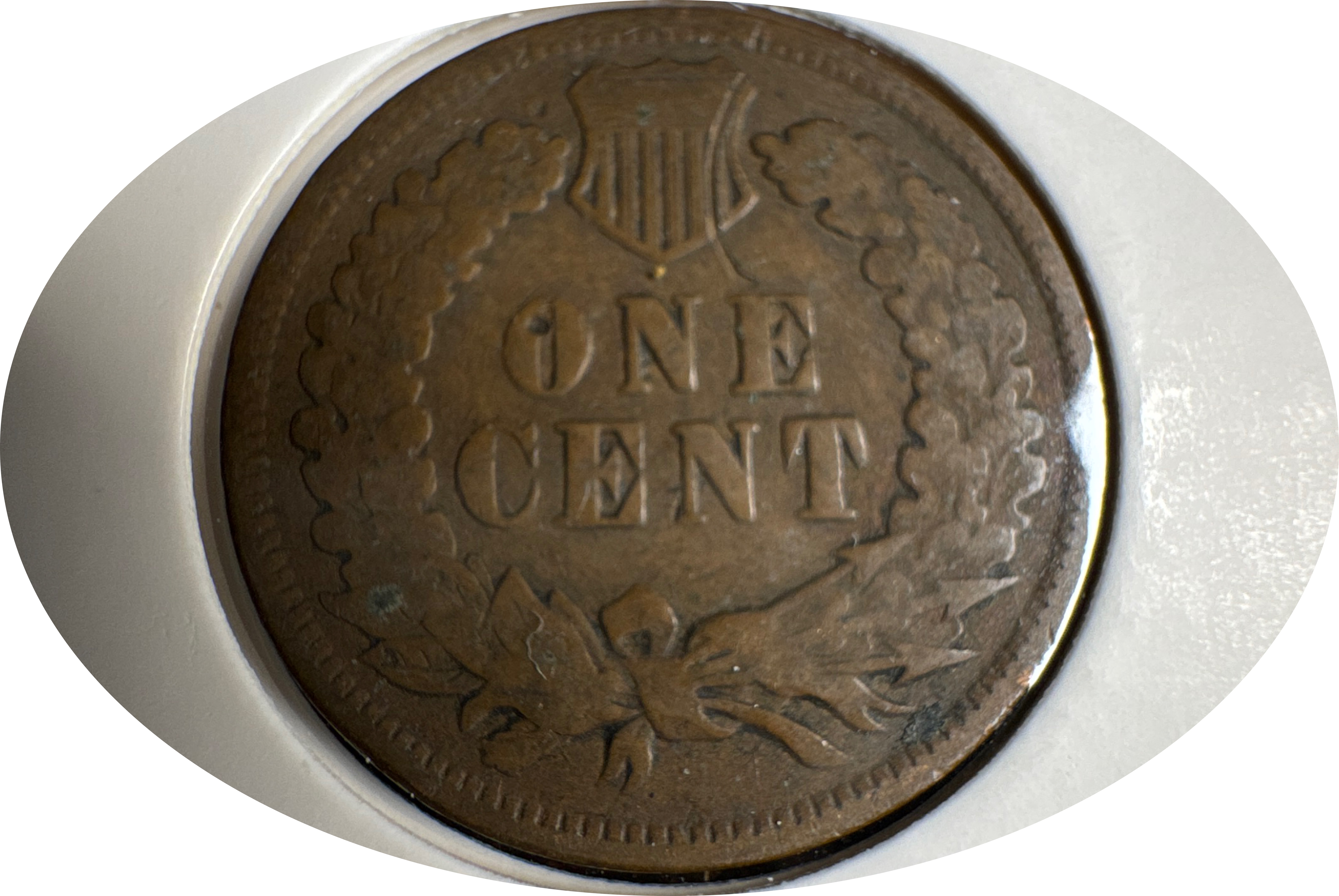 1900-P Indian Head Cent Ungraded — back