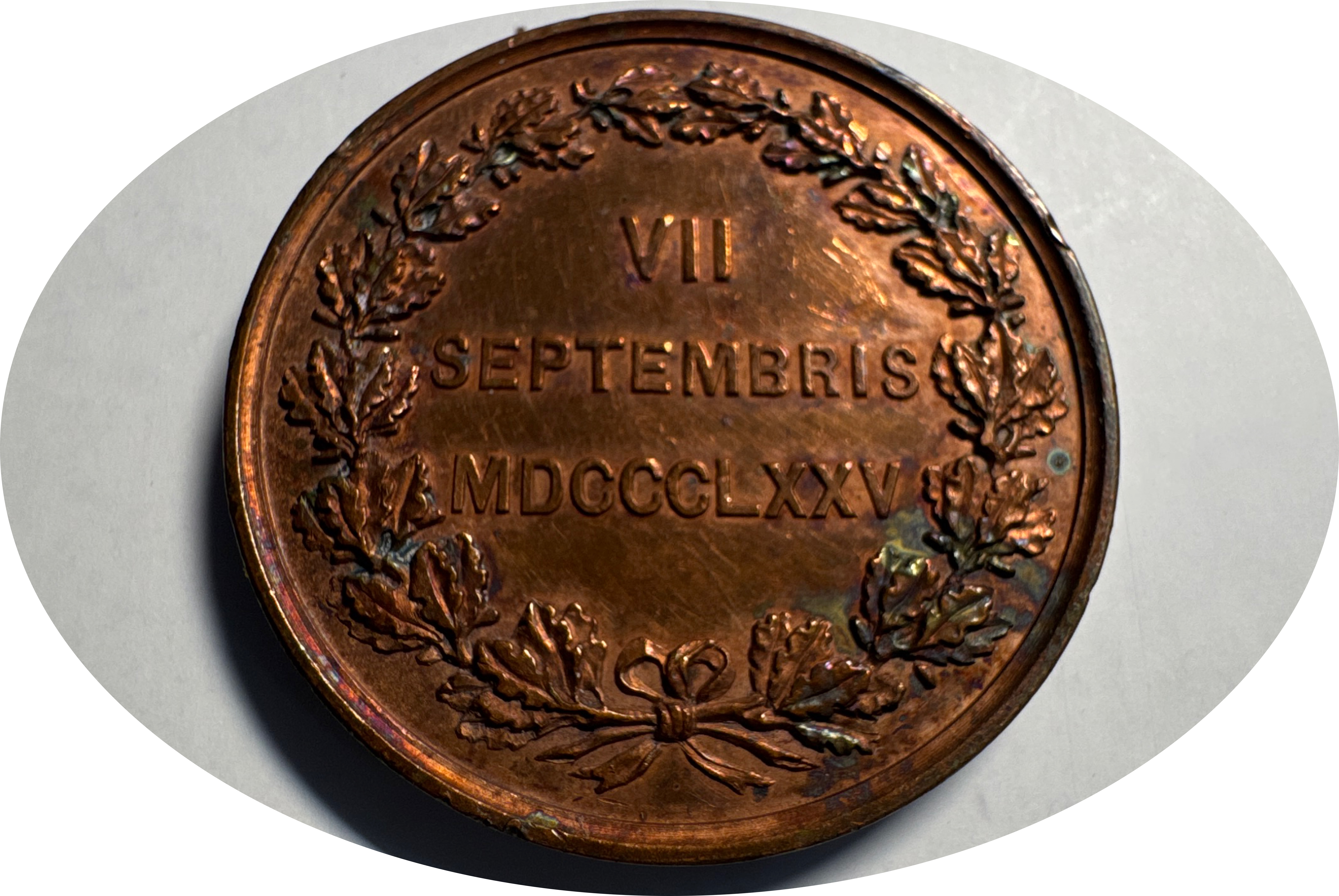 1875 Unveiling of King Carl XIV Johan Statue Medal Ungraded — back