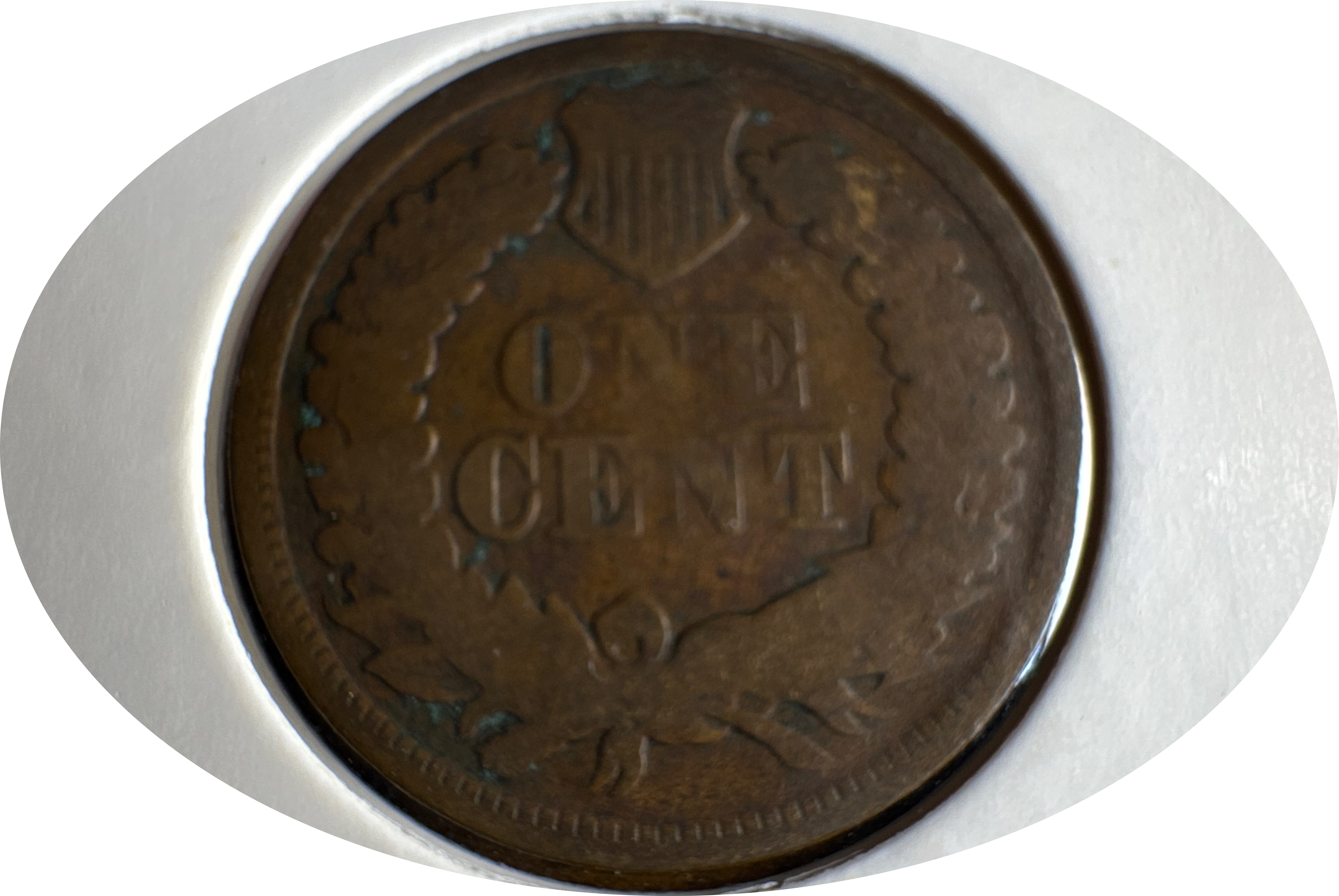 1866-P Indian Head Cent Ungraded — back