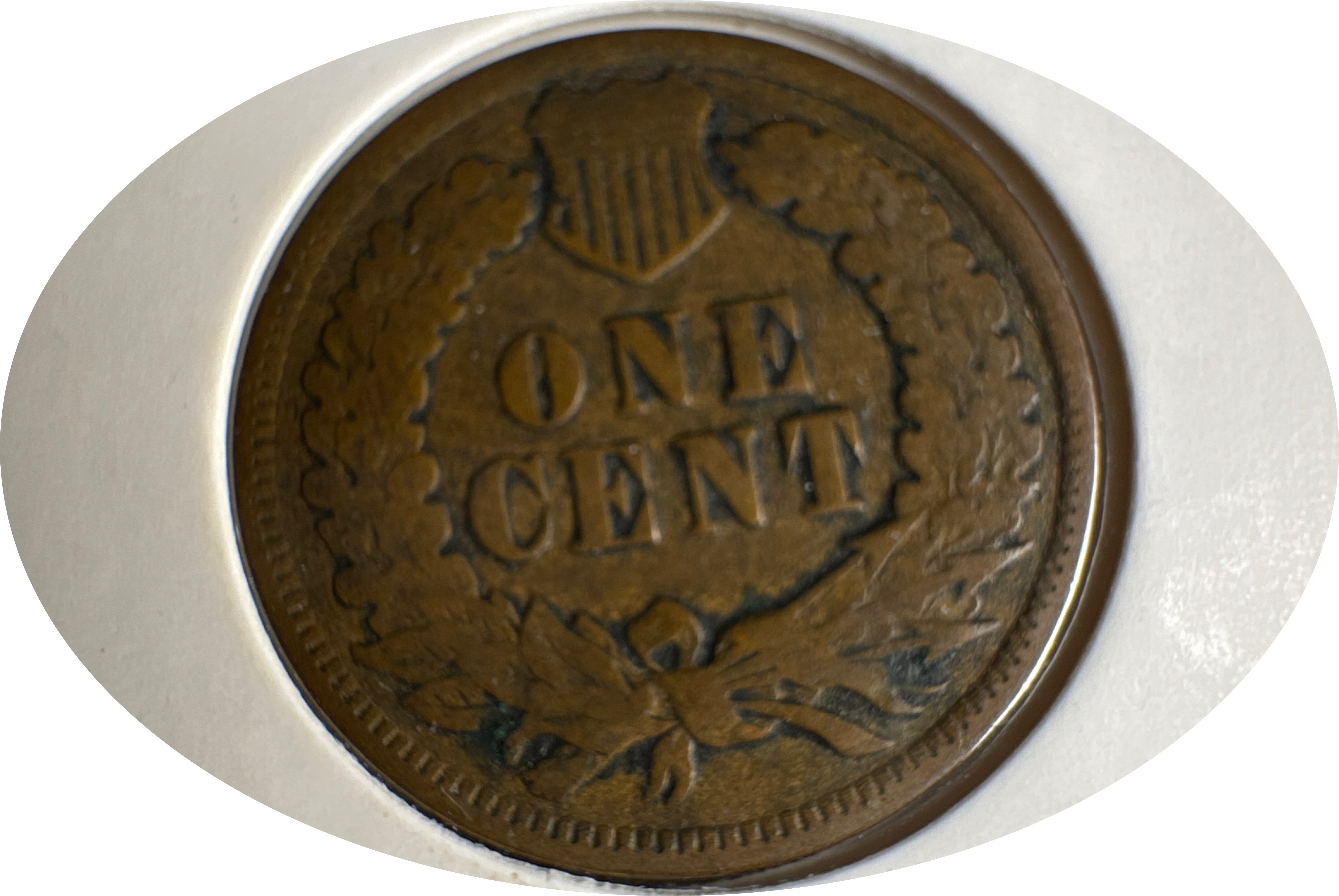 1903-P Indian Head Cent Ungraded — back