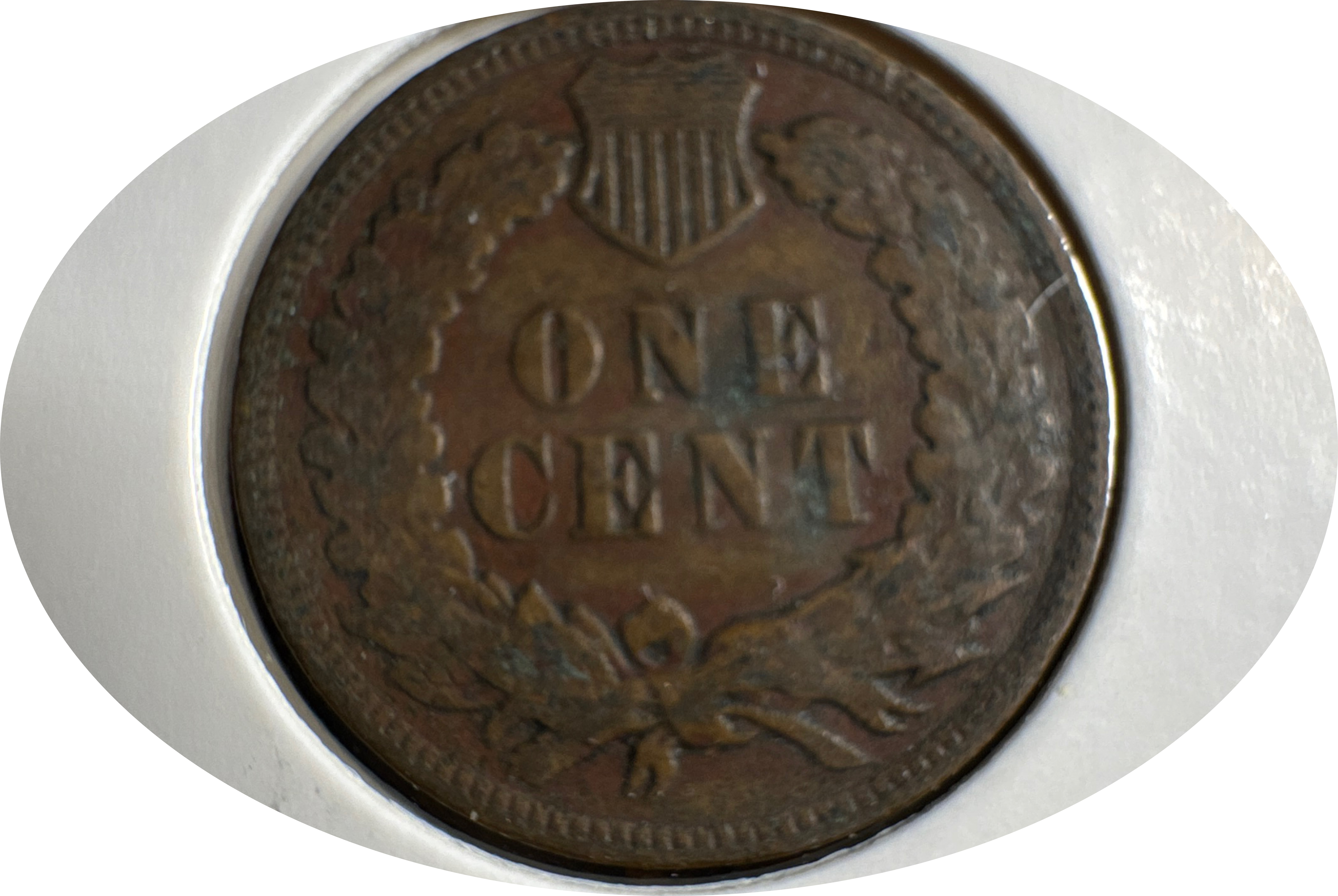 1906-P Indian Head Cent Ungraded — back