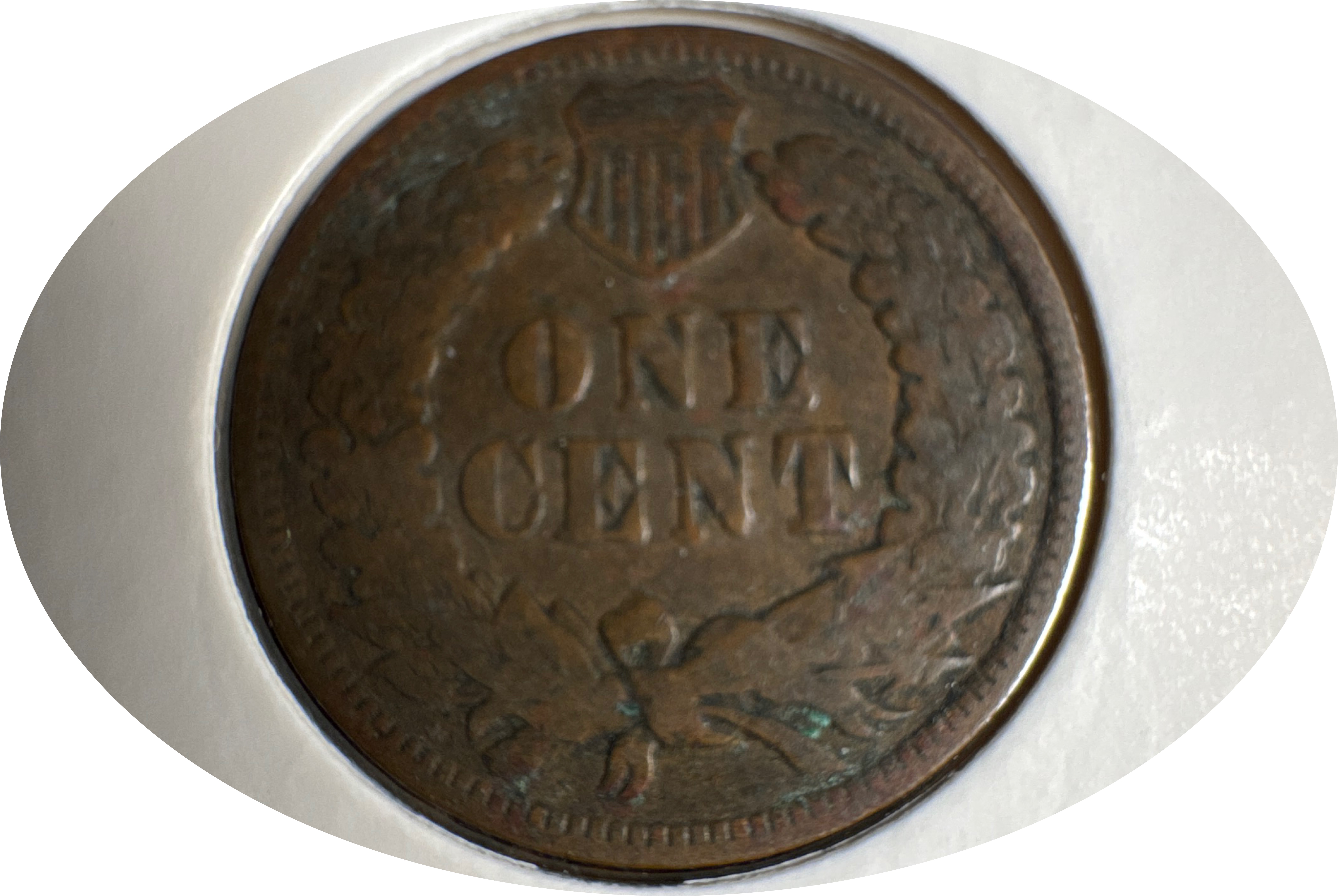1900-P Indian Head Cent Ungraded — back