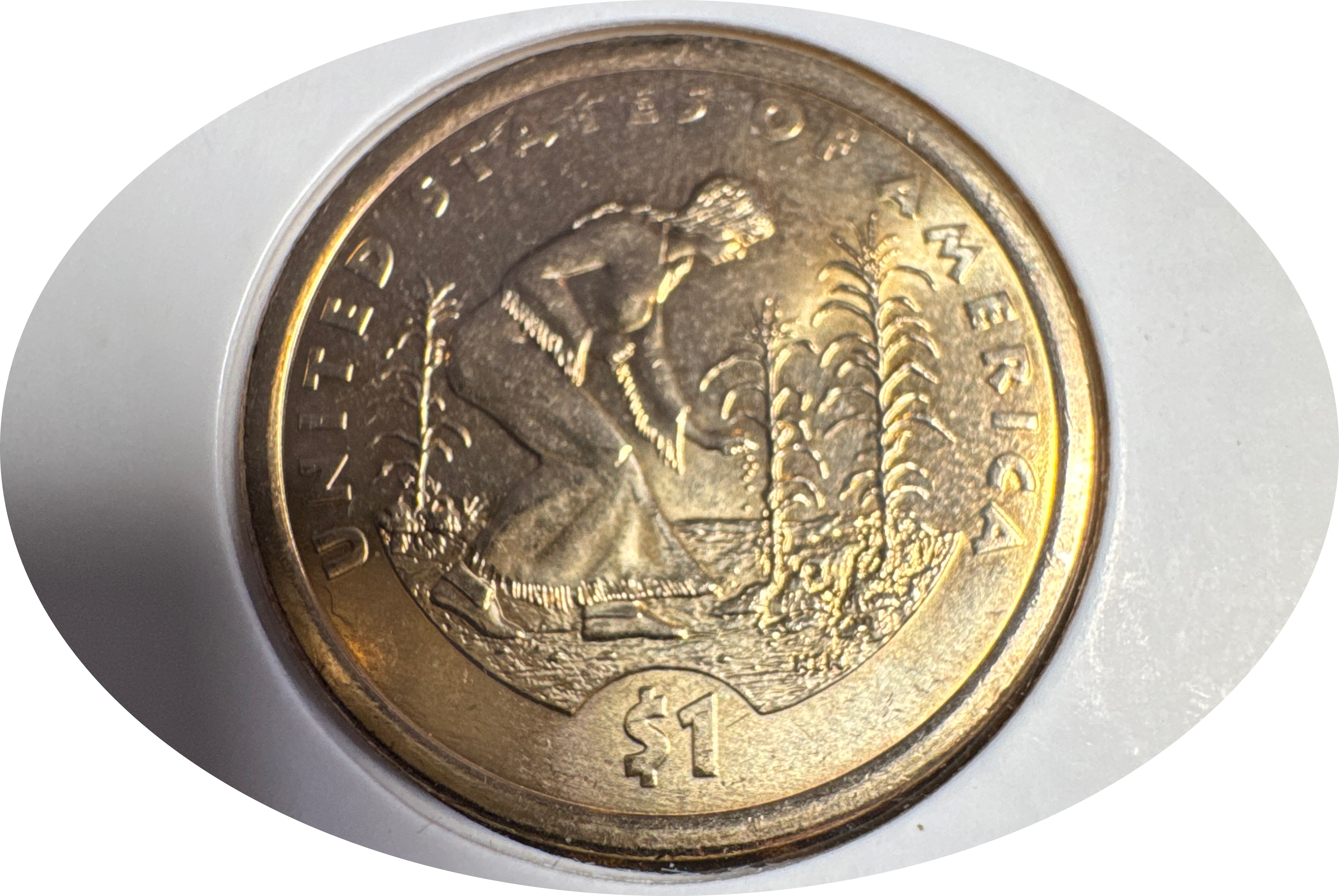 2009-D Sacagawea Dollar Ungraded — back