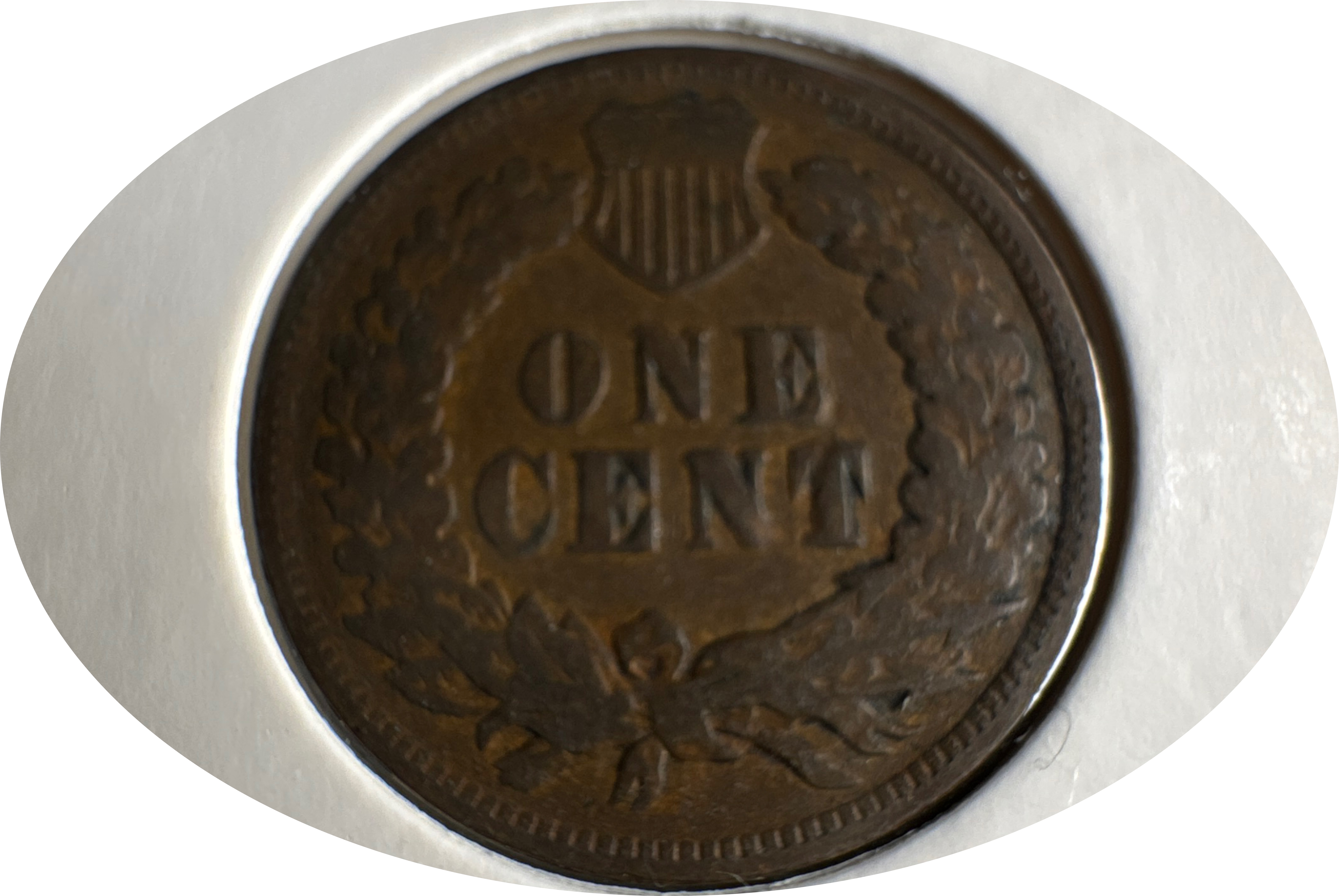 1903-P Indian Head Cent Ungraded — back