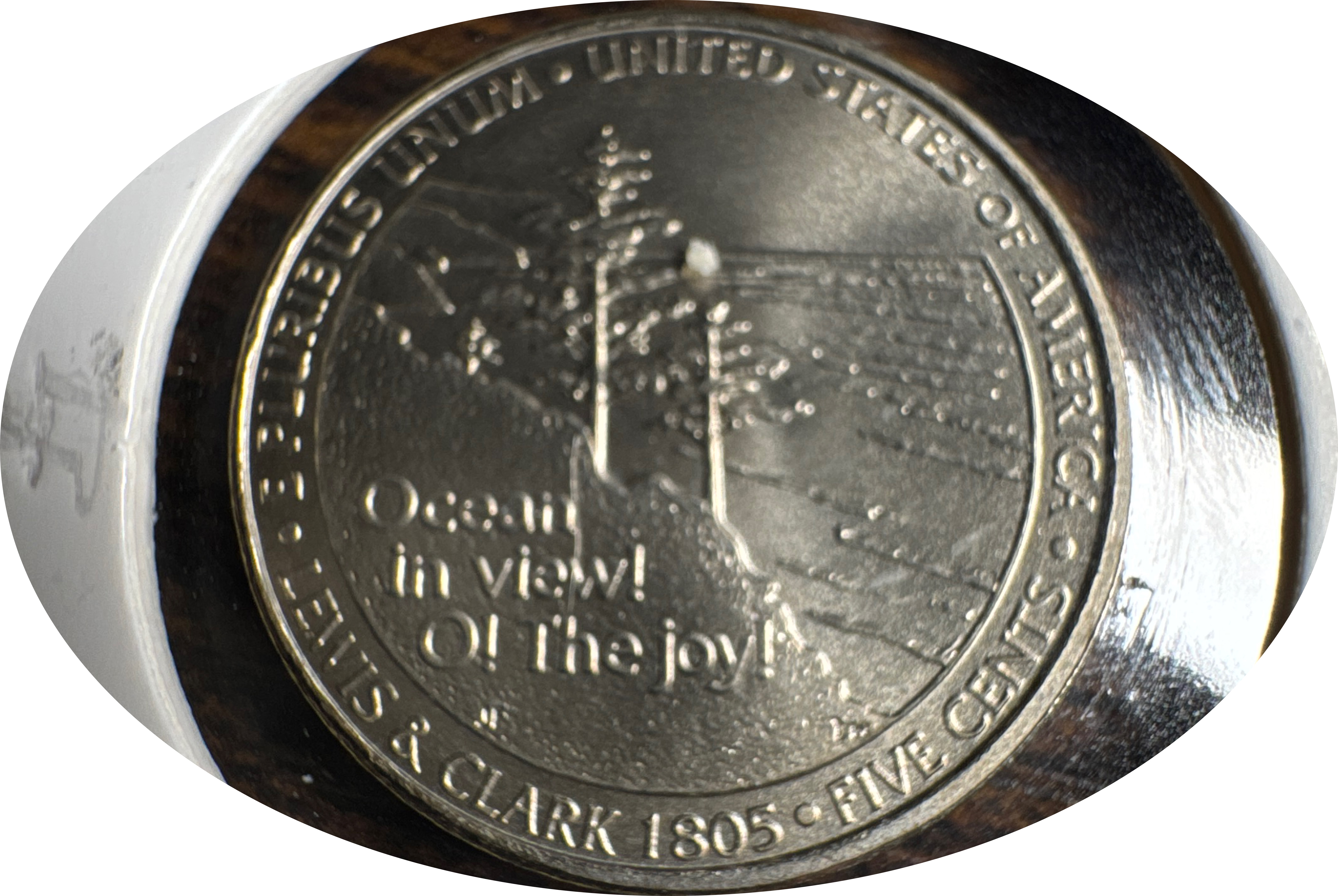 2005-P Jefferson Nickel Ungraded — back