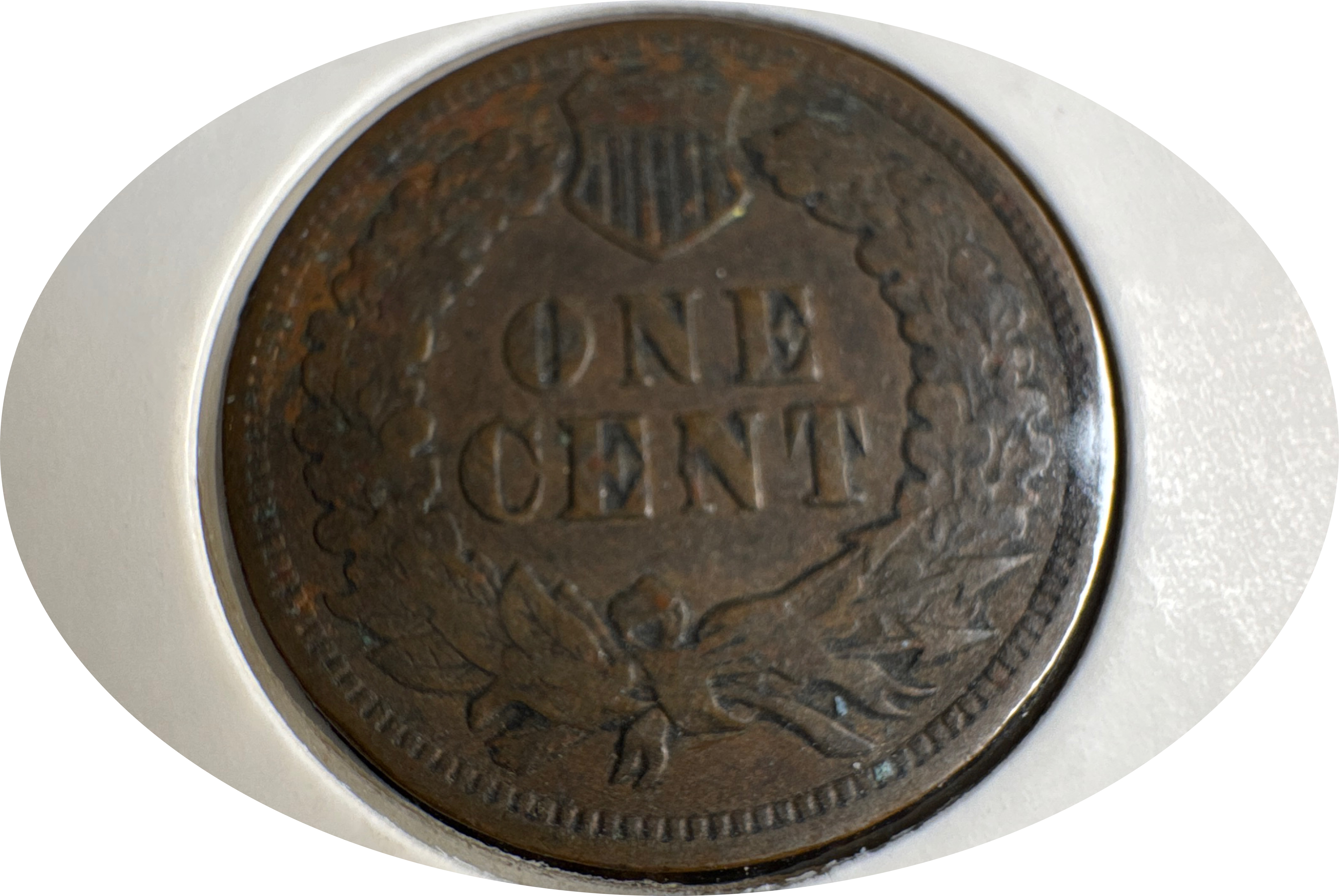 1903-P Indian Head Cent Ungraded — back