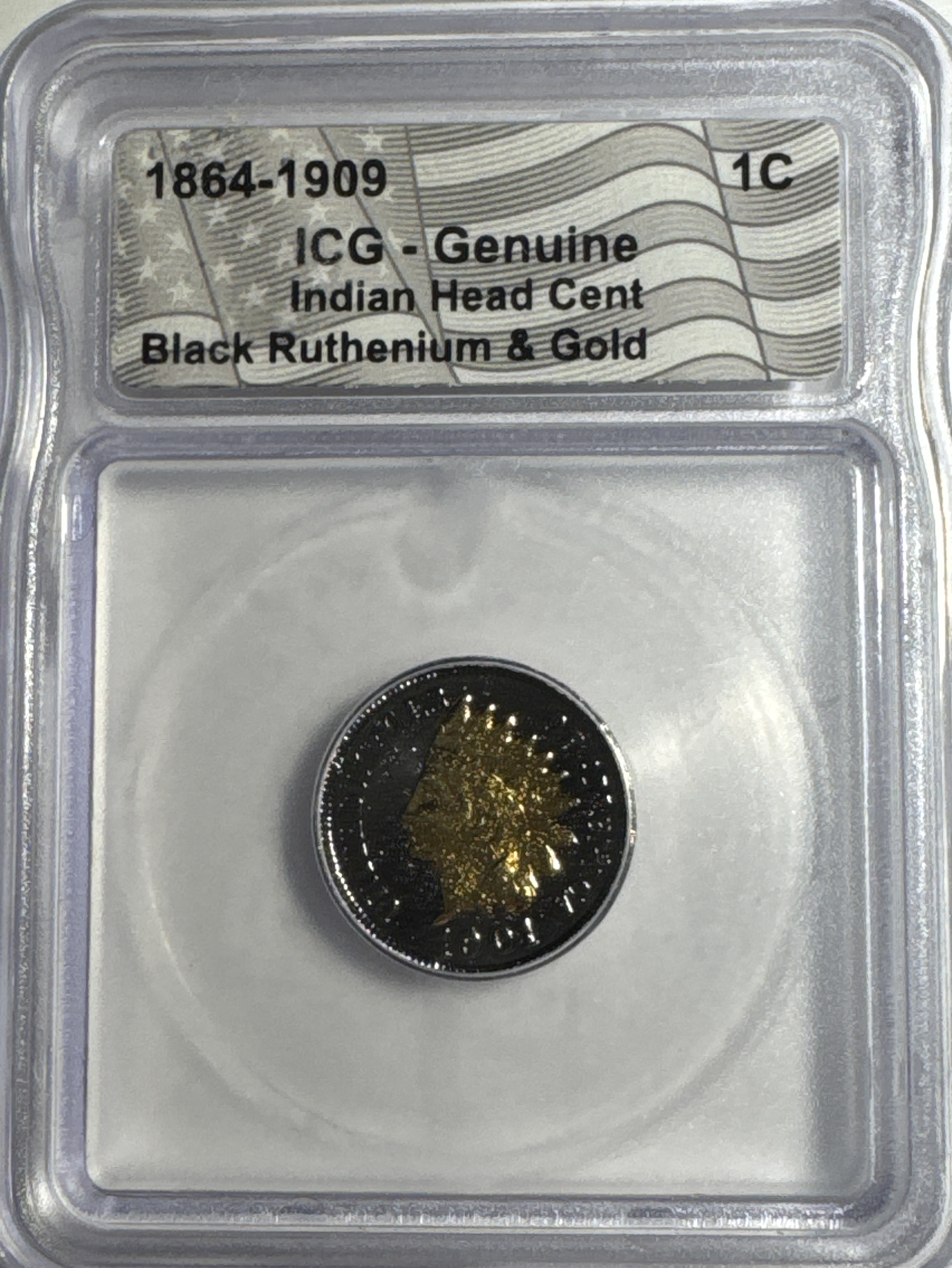 1901-P Indian Head Cent GENUINE