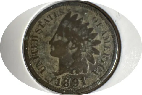 1891-P Indian Head Cent Ungraded