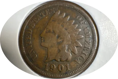 1901-P Indian Head Cent Ungraded