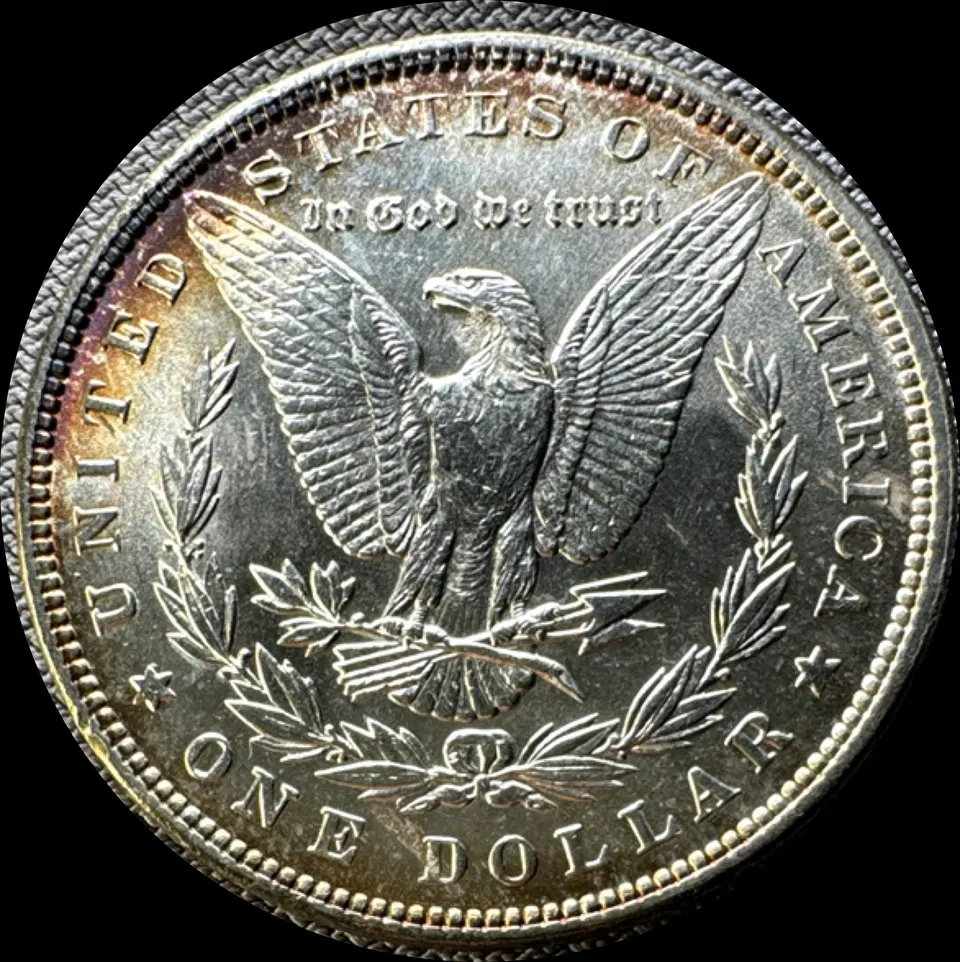 1889-P Morgan Dollar UNGRADED — back