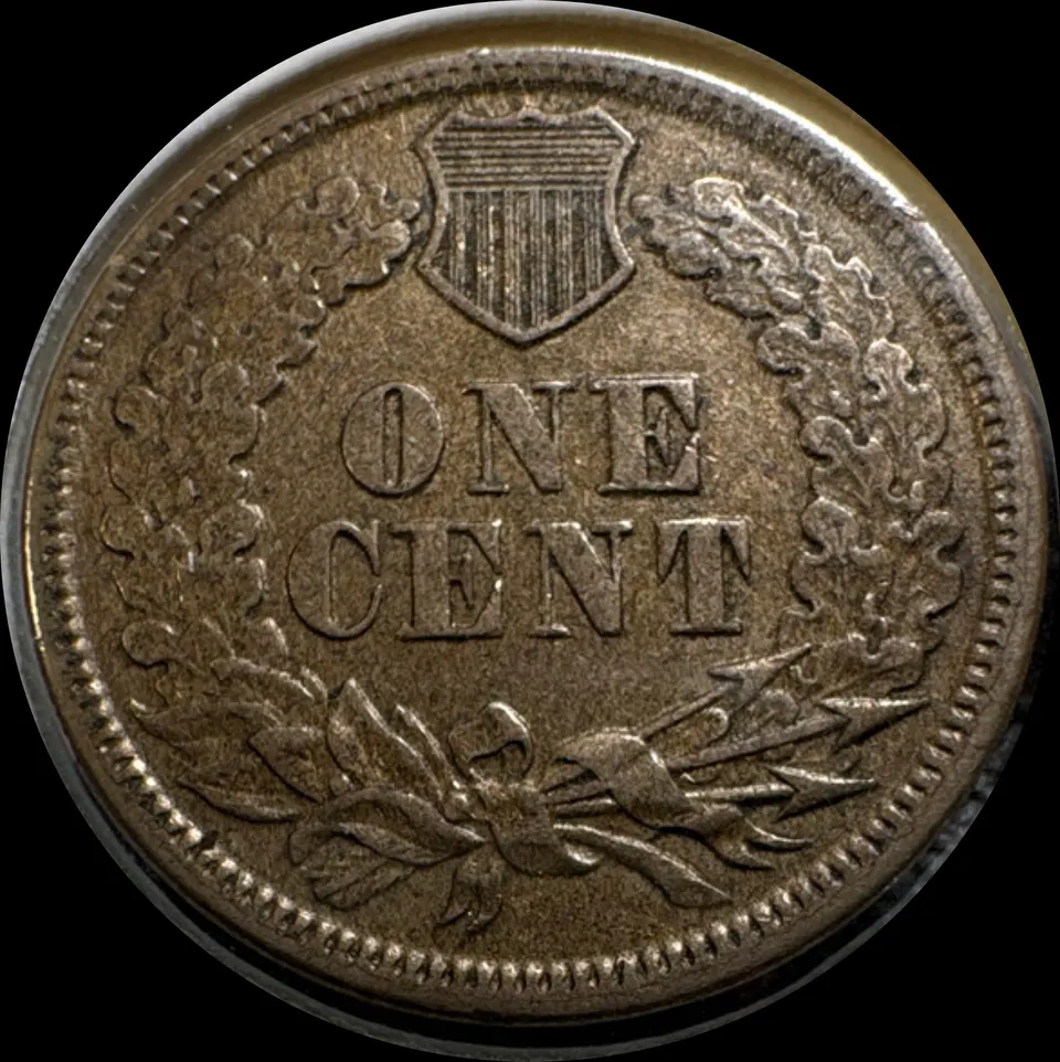 1860-P Indian Head Cent UNGRADED — back