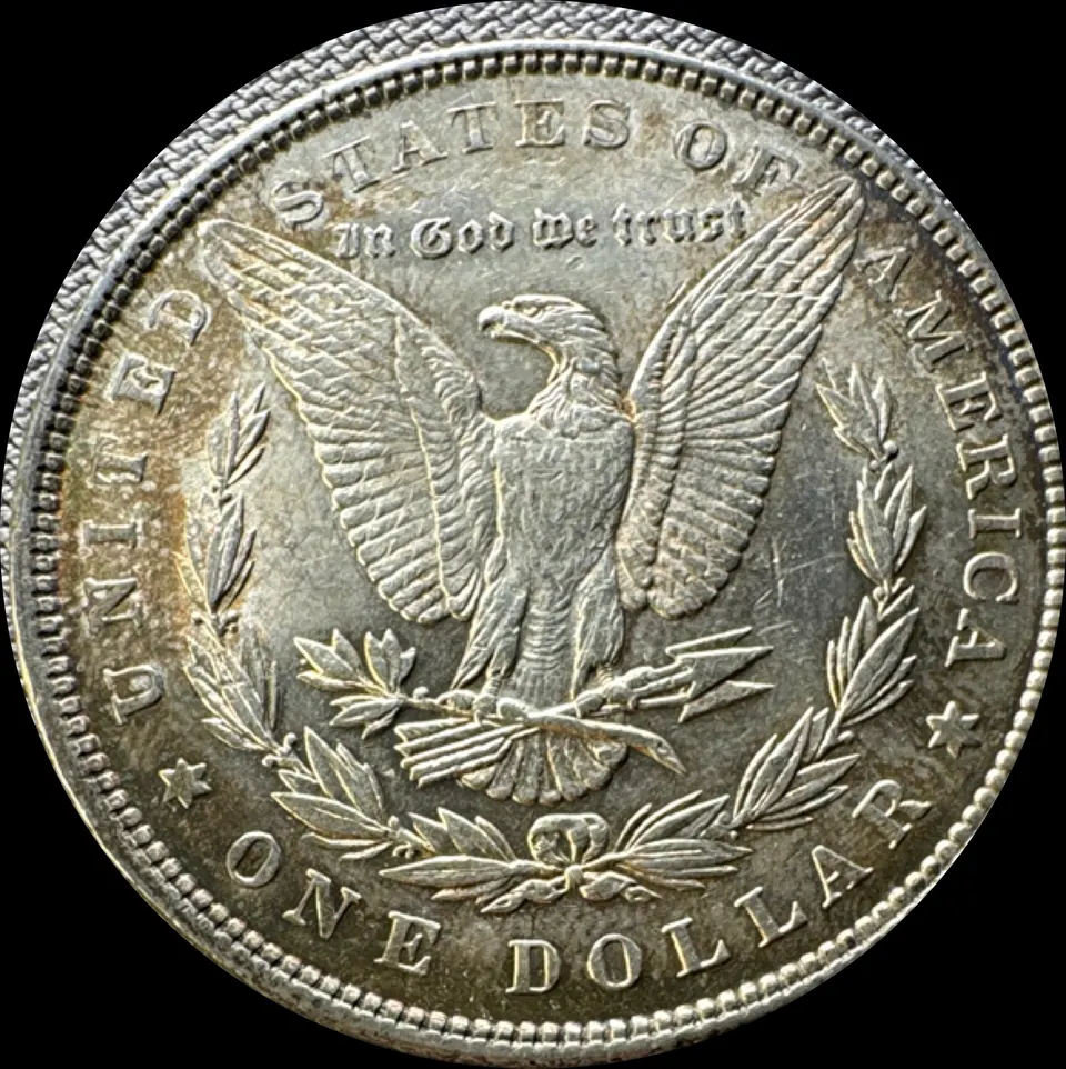 1886-P Morgan Dollar UNGRADED — back