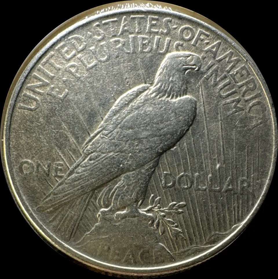 1922-P Peace Dollar UNGRADED — back