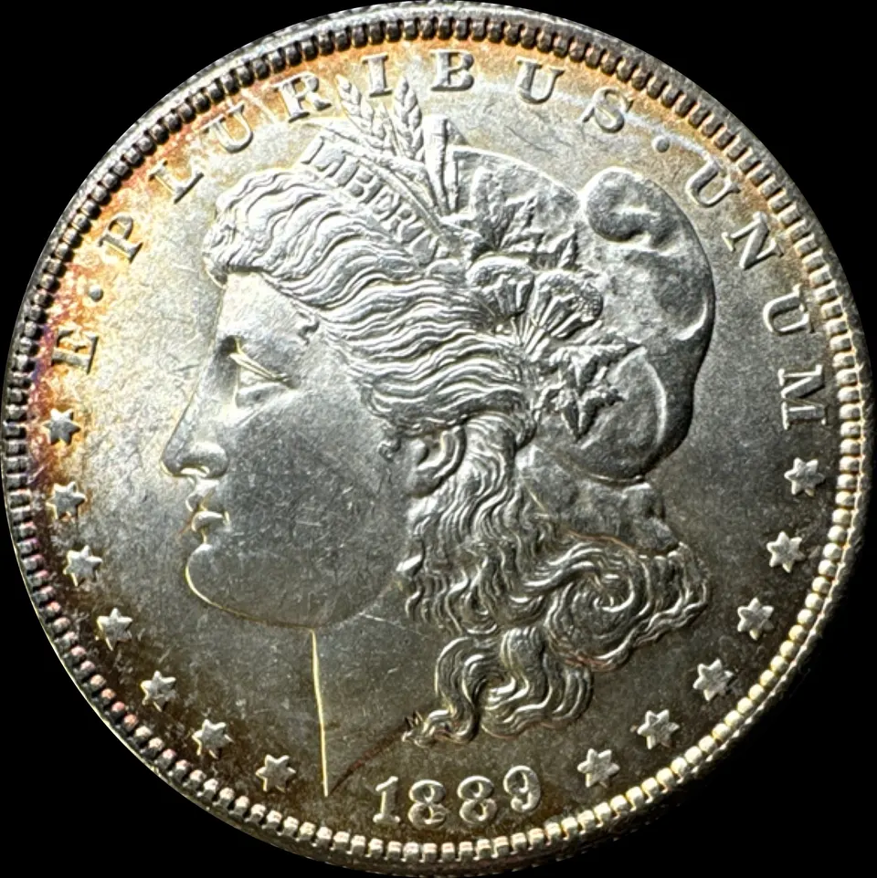 1889-P Morgan Dollar UNGRADED — front