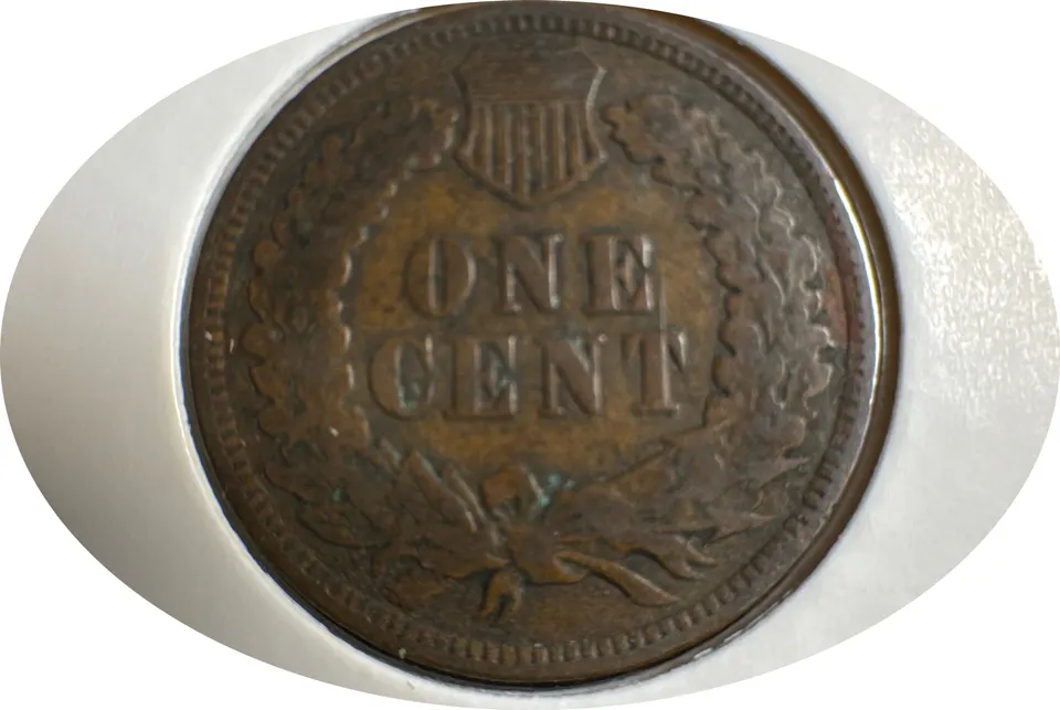 1906-P Indian Head Cent Ungraded — back