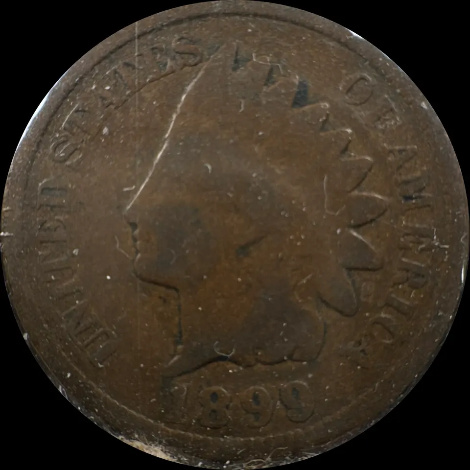 1899-P Indian Head Cent Ungraded — front