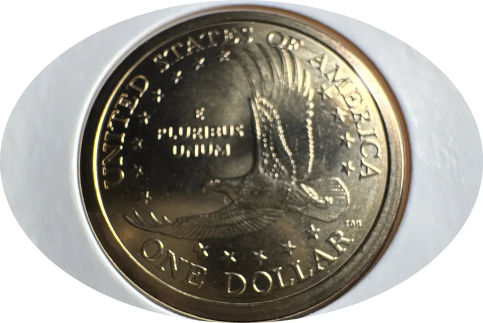 2004-P Sacagawea Dollar Ungraded — back
