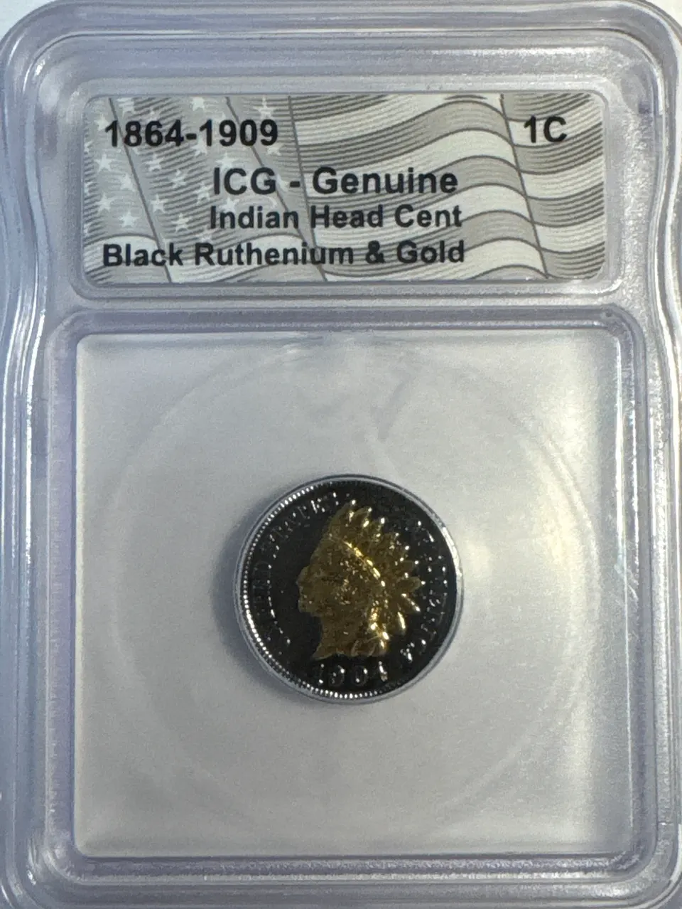 1904-P Indian Head Cent Genuine — front