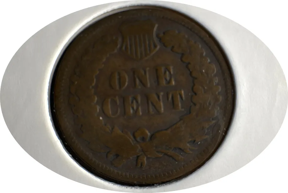 1901-P Indian Head Cent Ungraded — back
