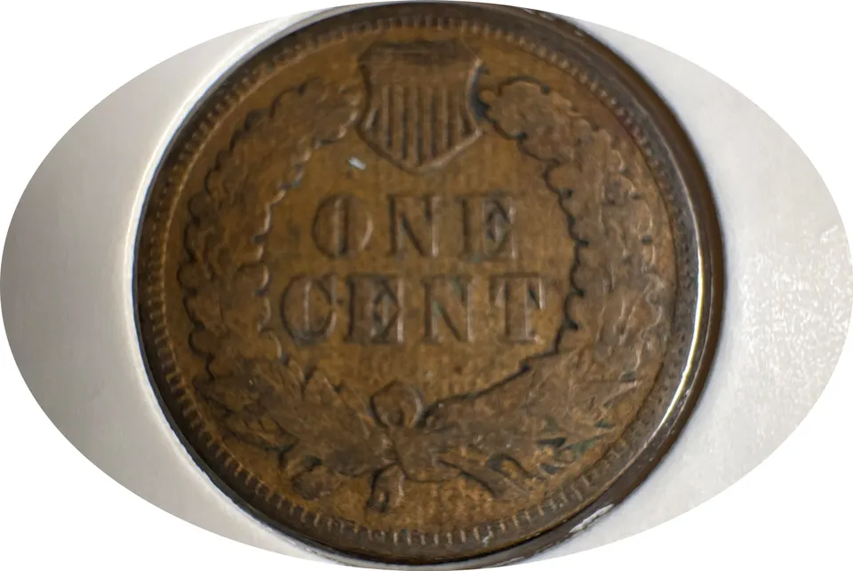 1900-P Indian Head Cent Ungraded — back