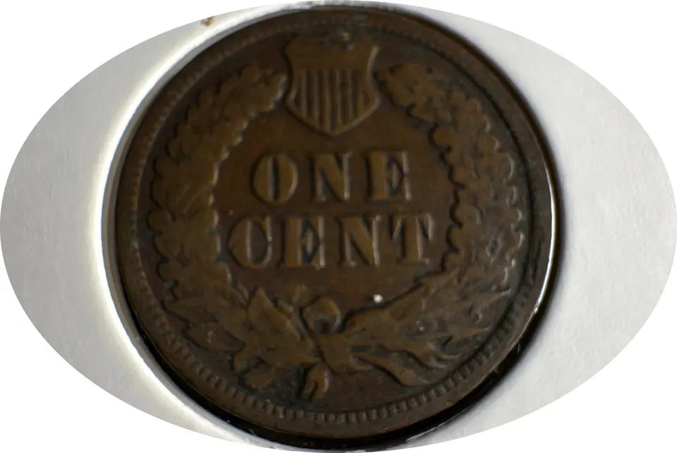 1902-P Indian Head Cent Ungraded — back