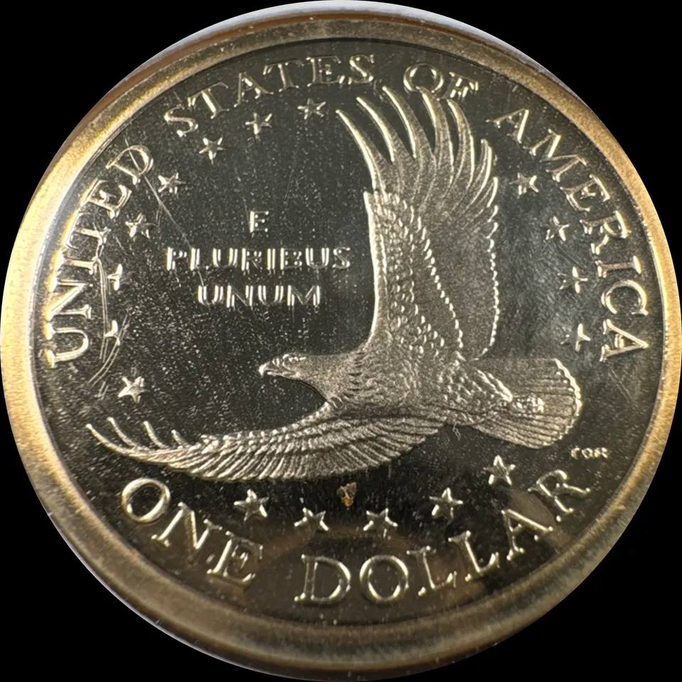 2002-S Sacagawea Dollar Ungraded — back