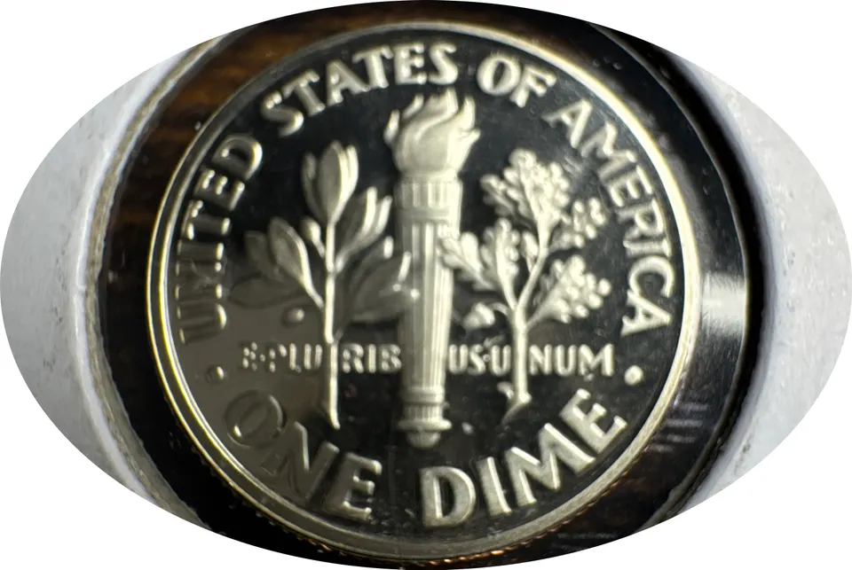 2006-S Roosevelt Dime Ungraded — back