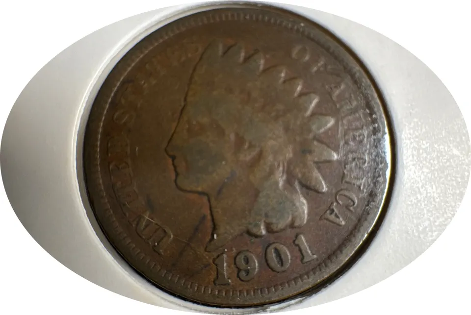 1901-P Indian Head Cent Ungraded — front
